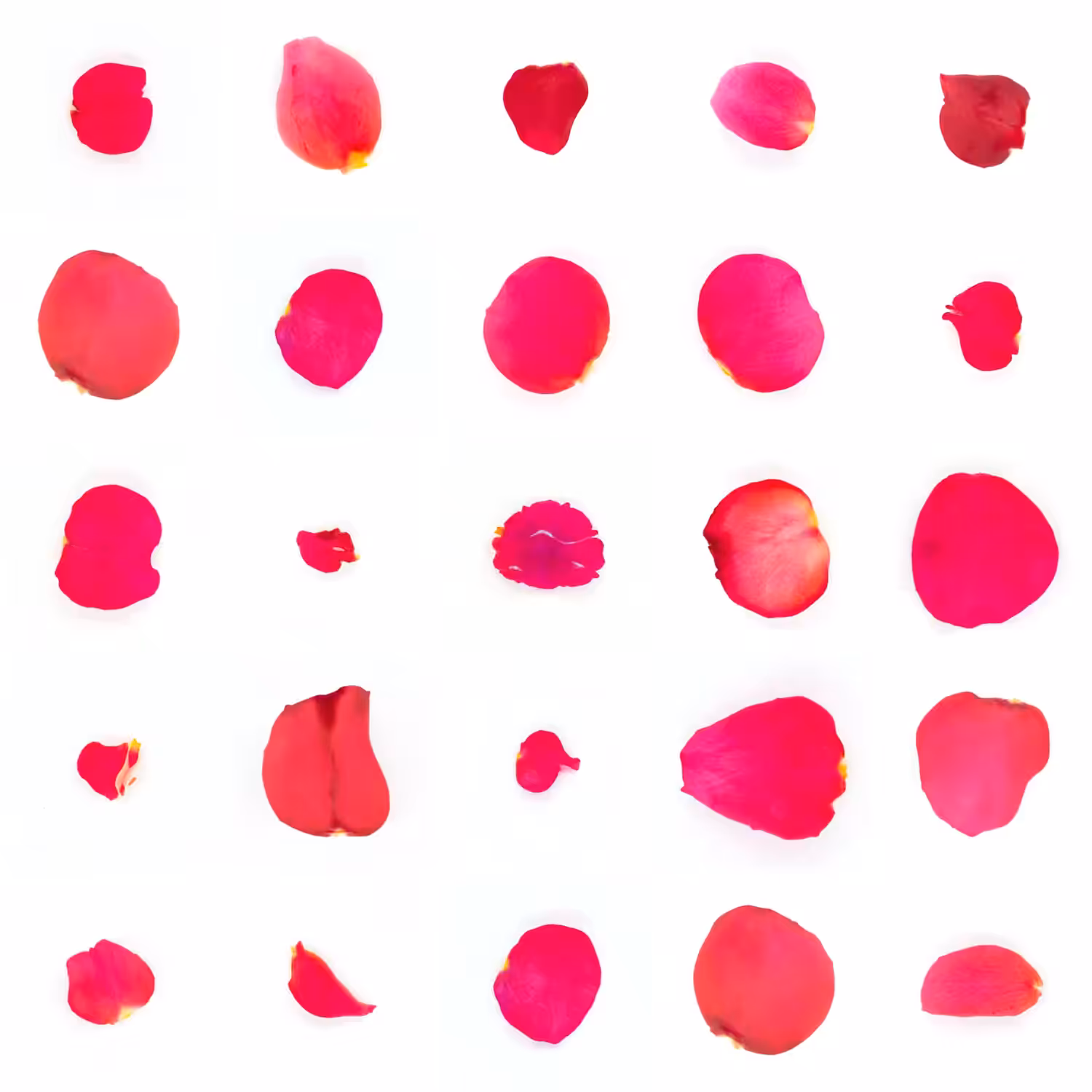 Infinite Petals 5x5#258