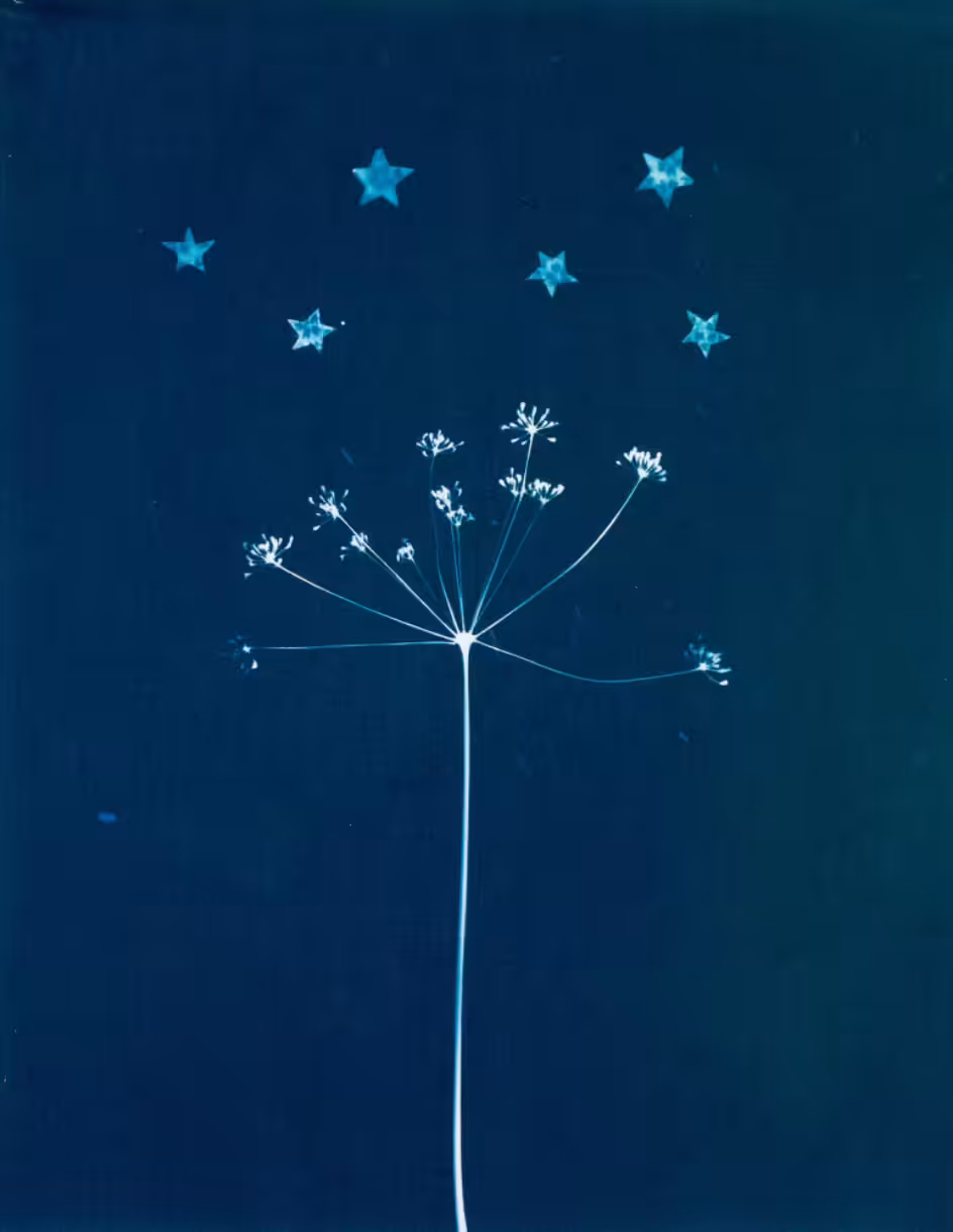 Star Gazing