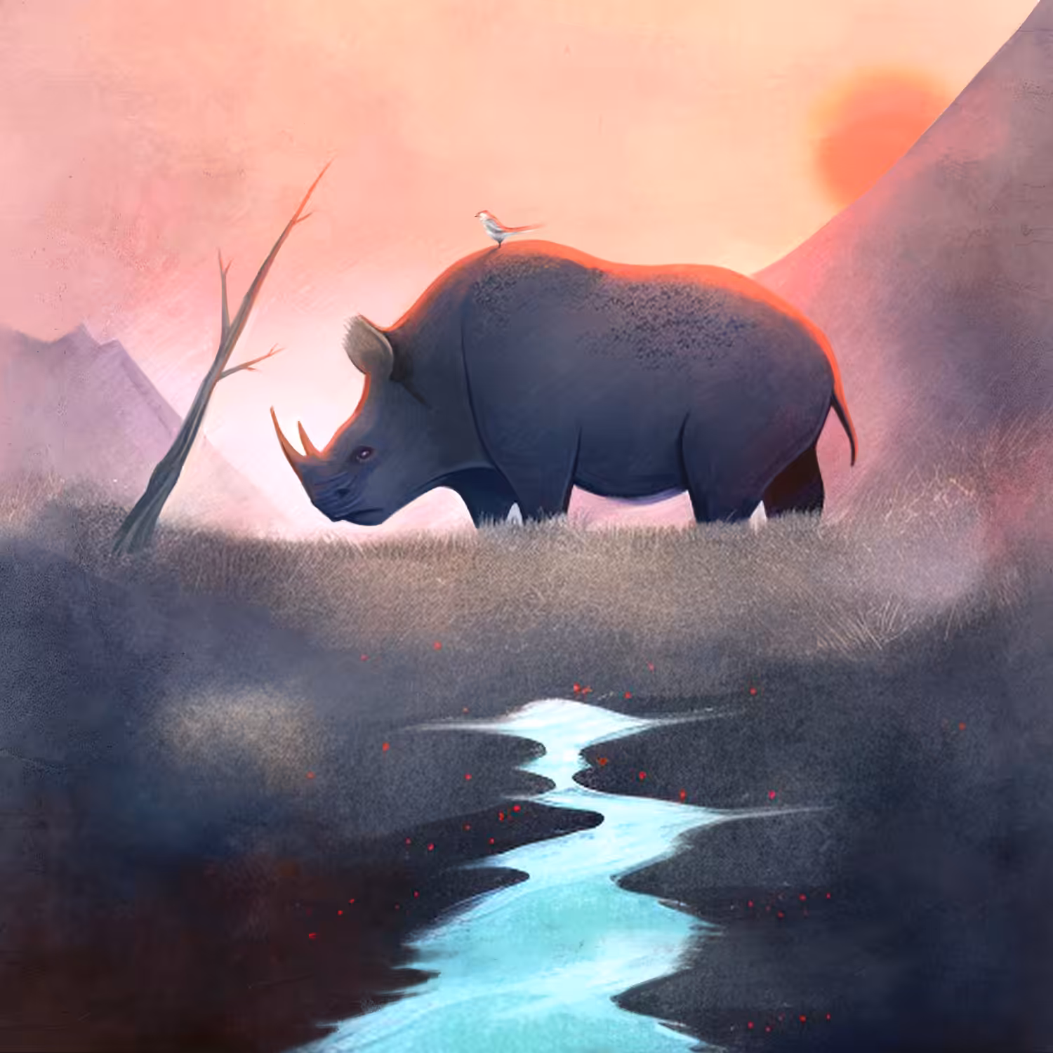 The last rhino
