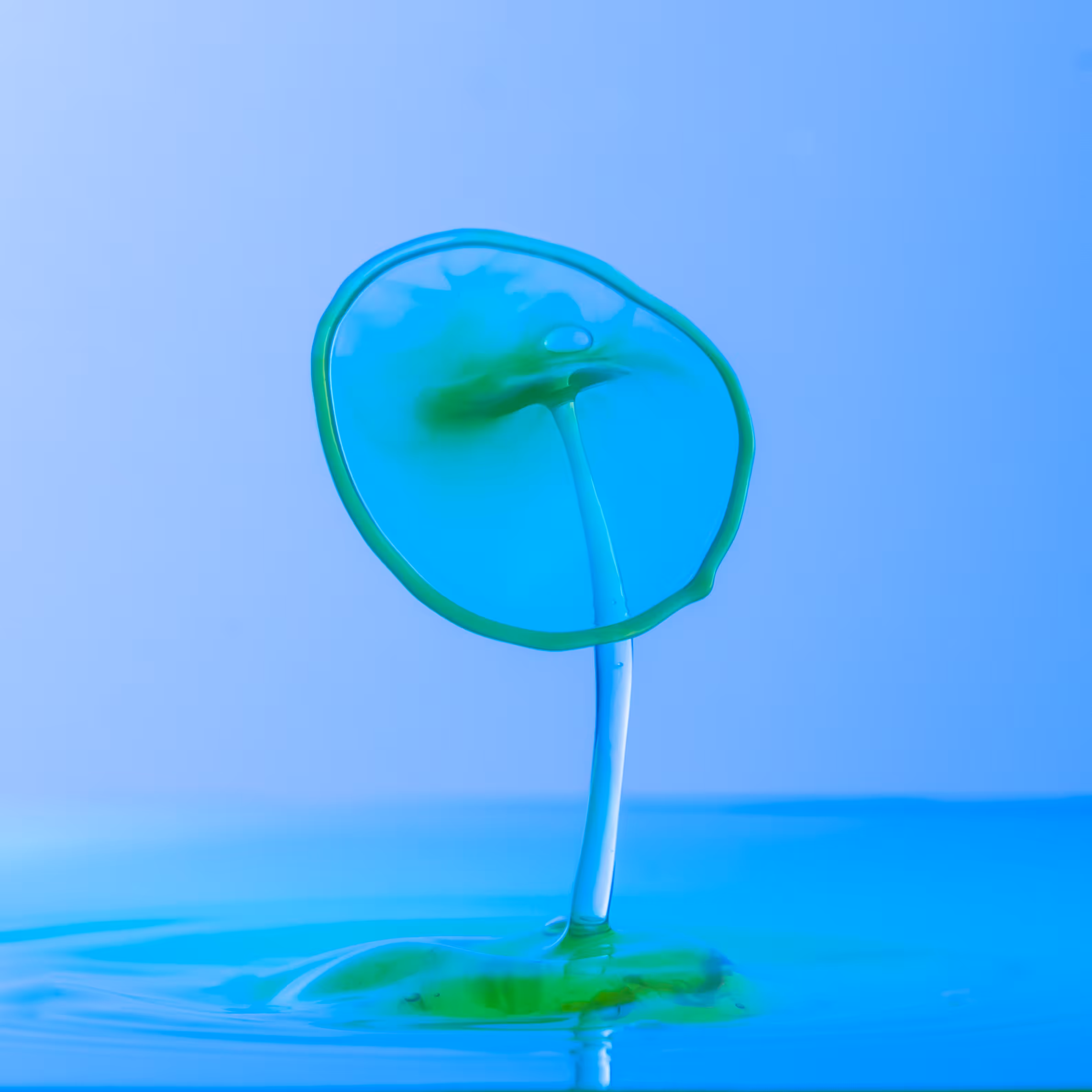 Drip-Drop-Plop-Clam