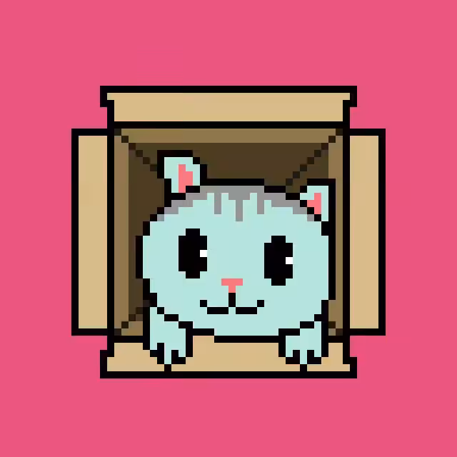 cat box 19