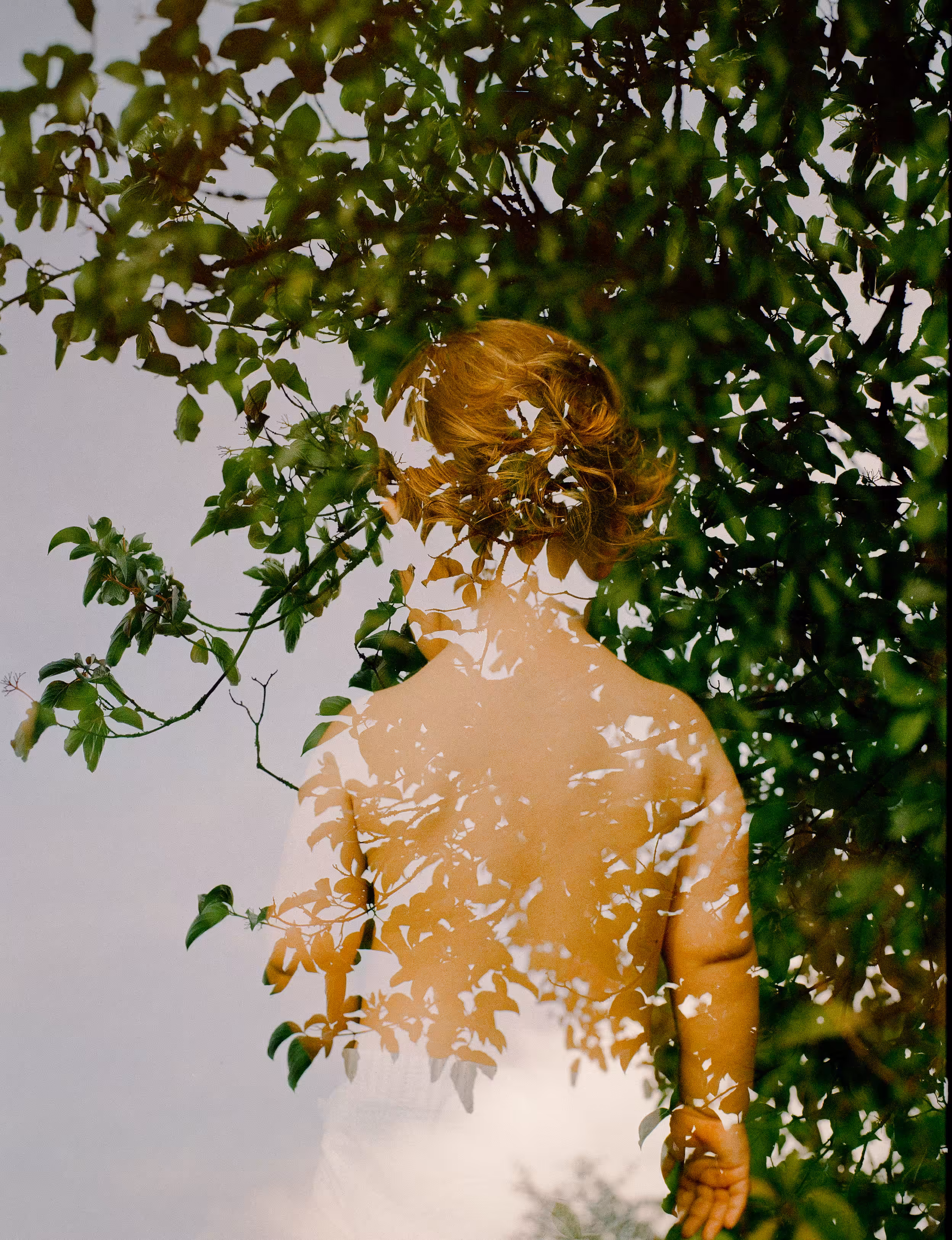 my daughter x tree