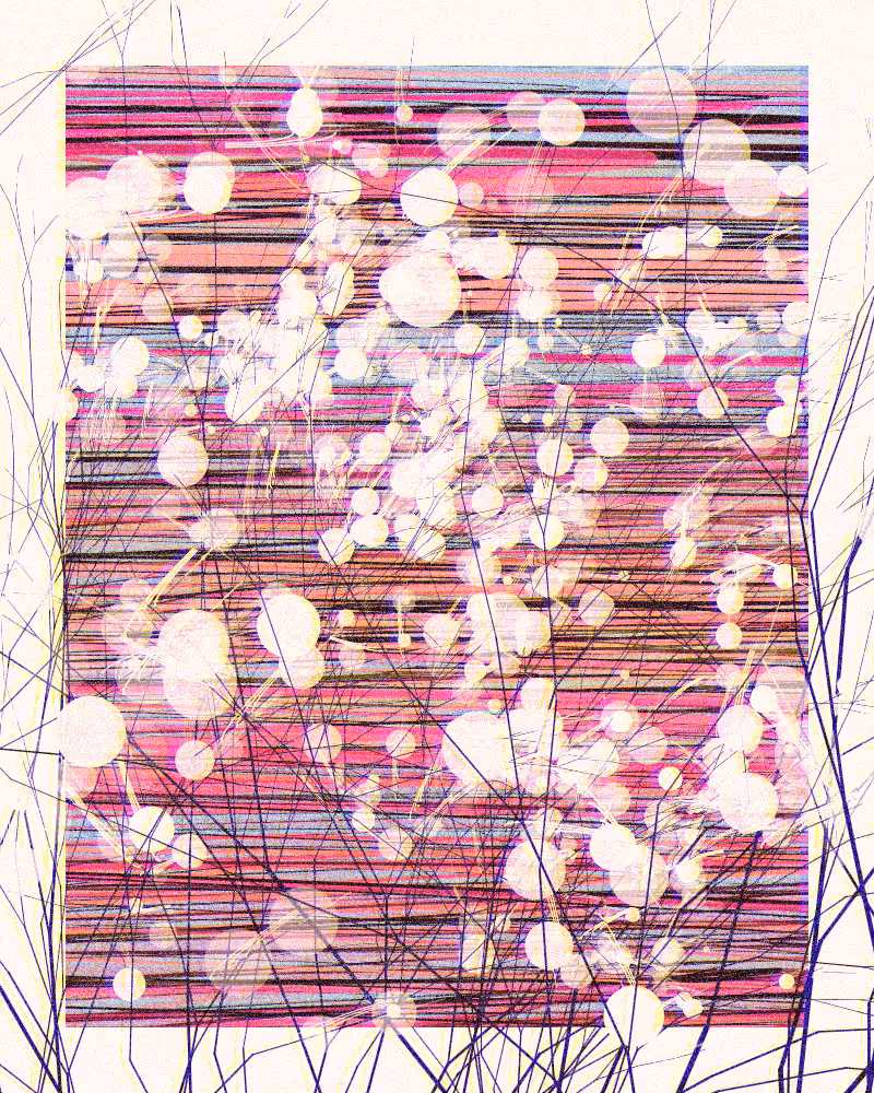The Blossoms Behind the River
