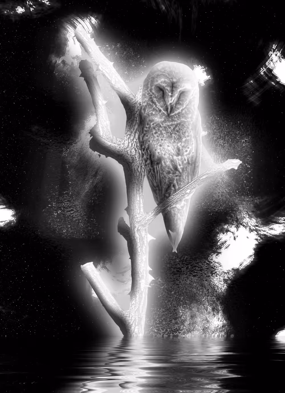 The Stars Fall
