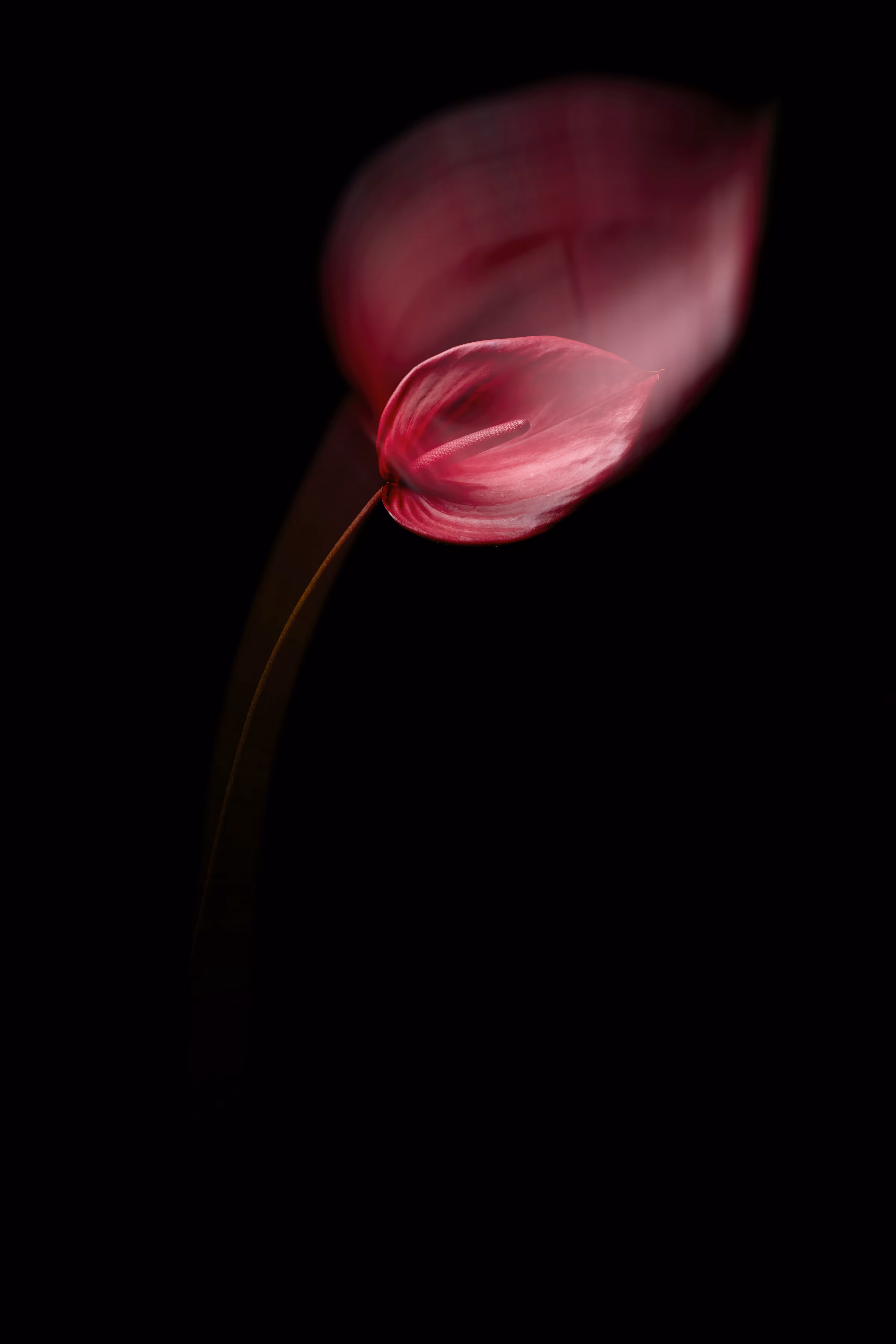 When the soul is separated