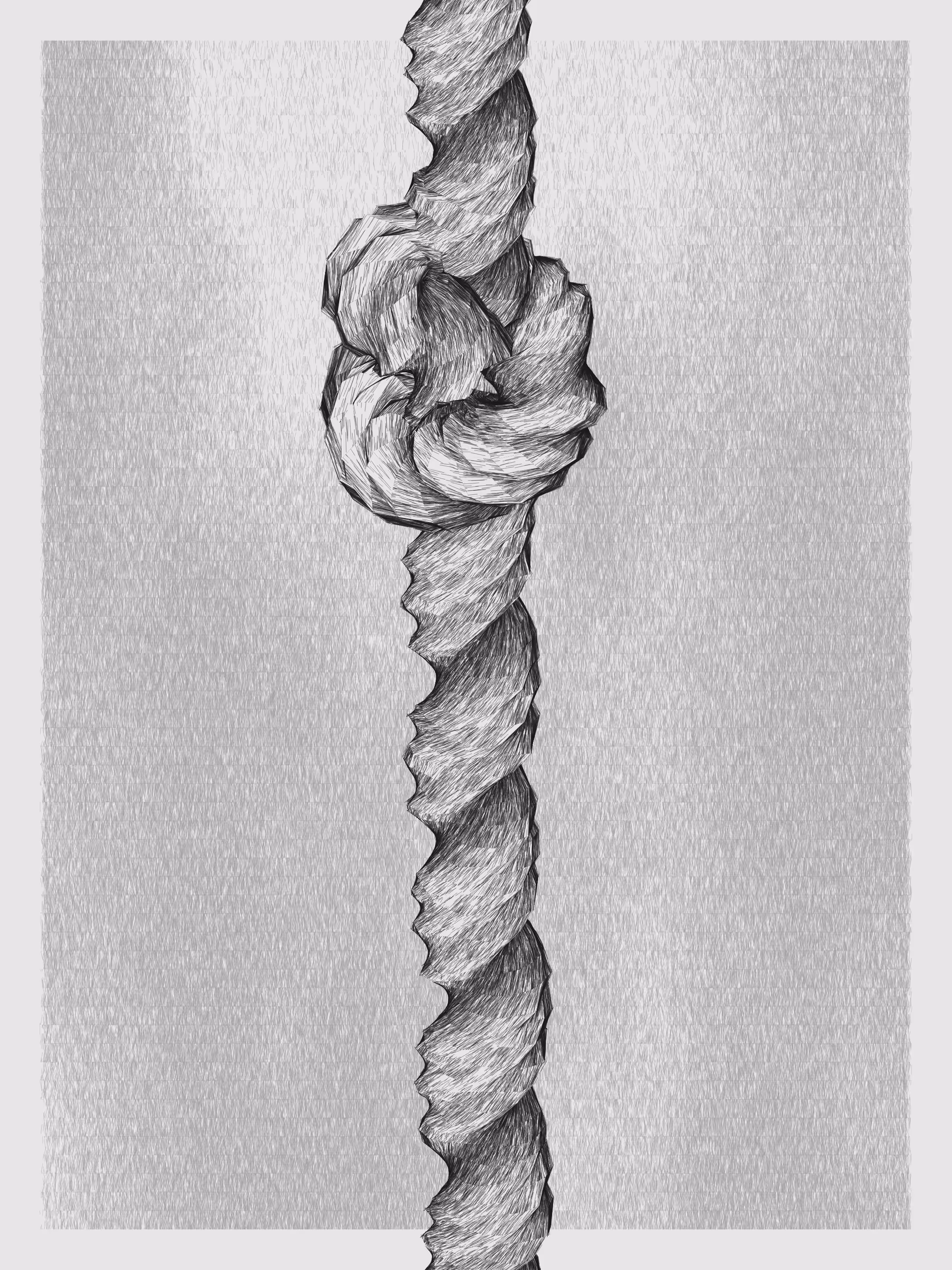 Bound #262