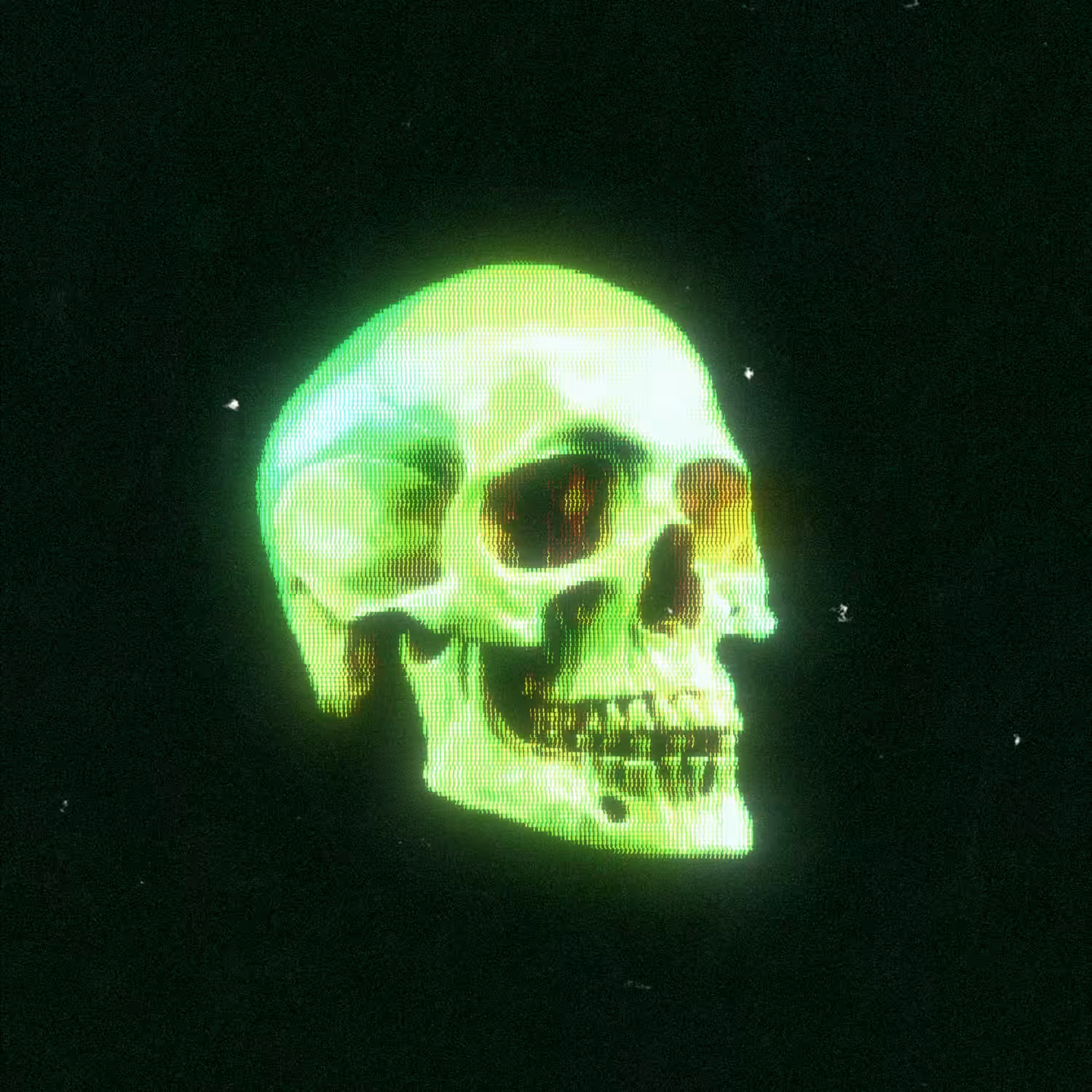 sᴋᴜʟʟ
