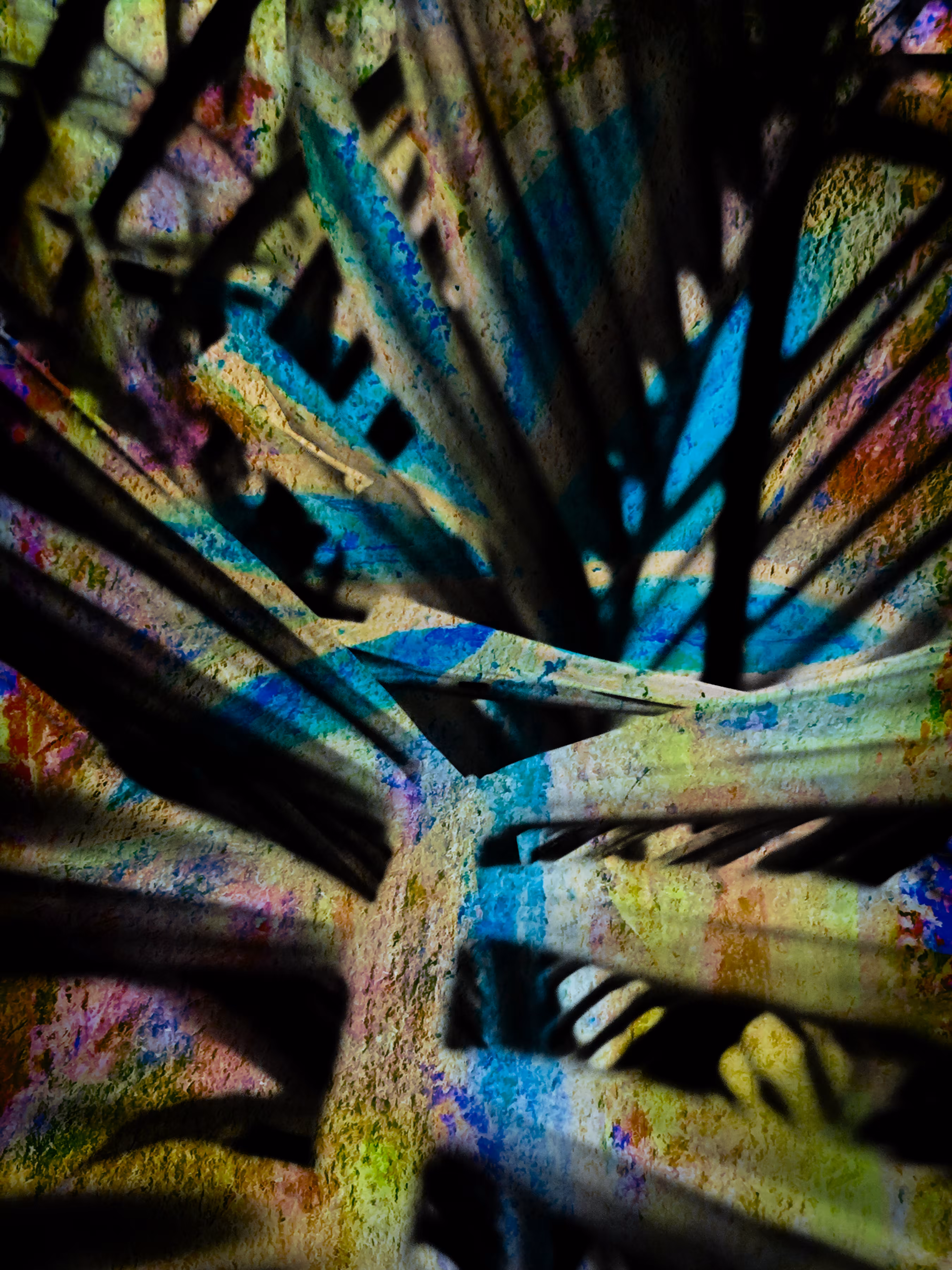 X-ray of a palm tree