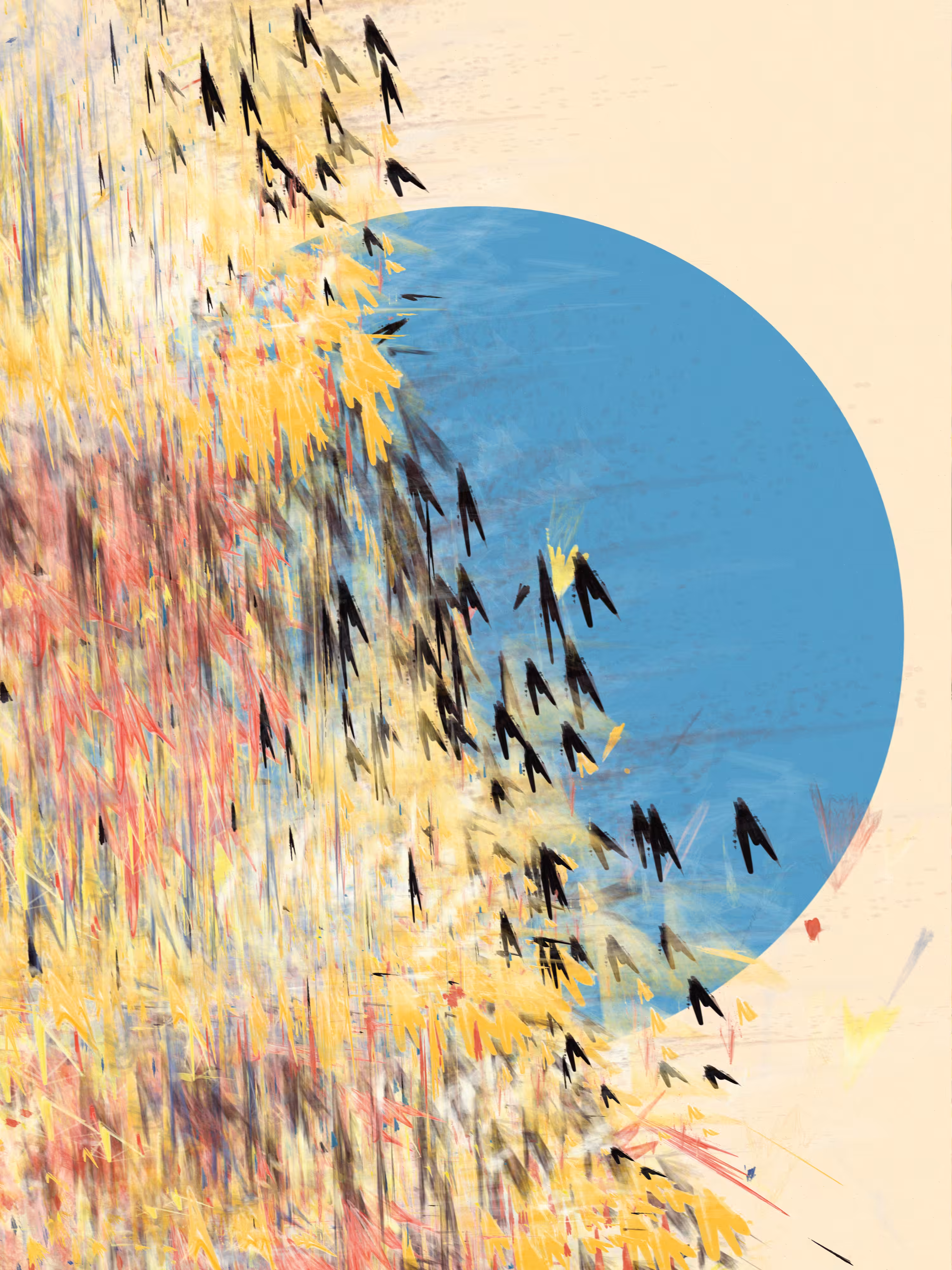 ostinato #50