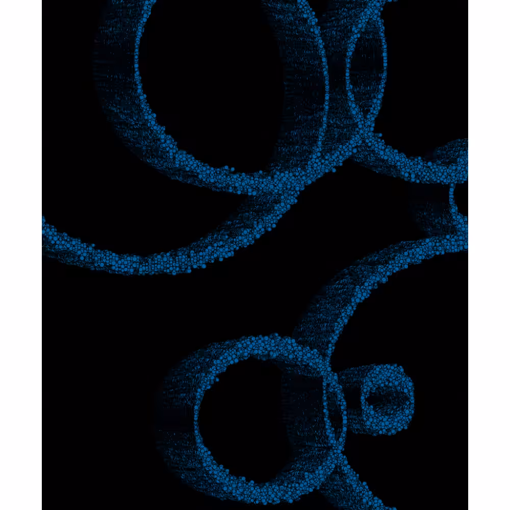 Rings #5