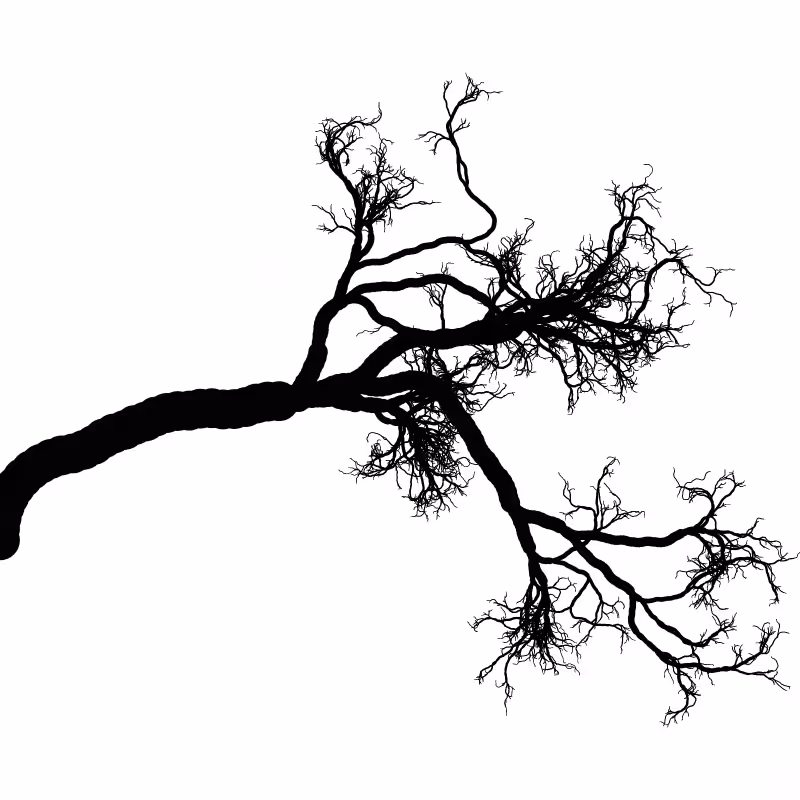 Tree 01 #67