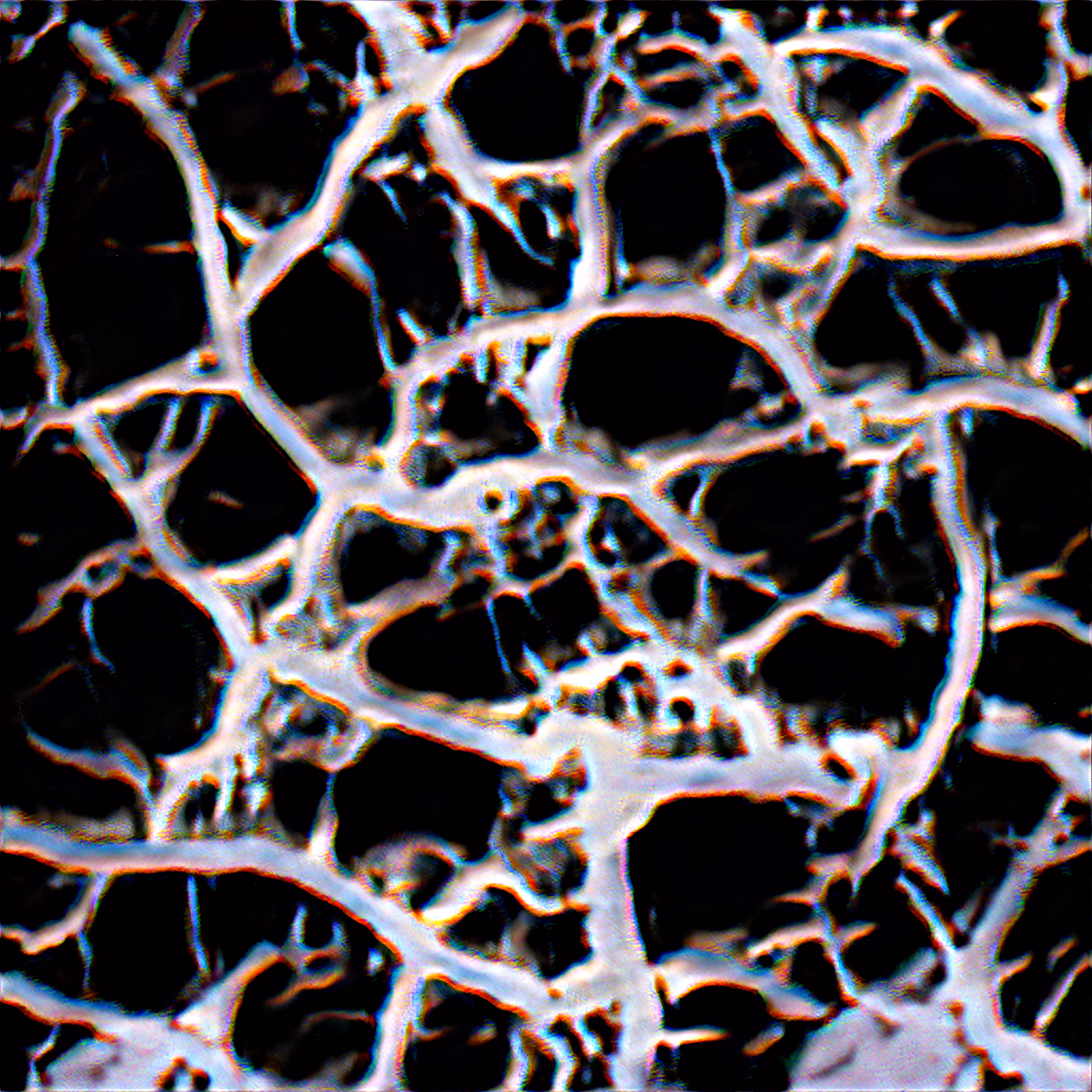 Amplified Technical Image #1