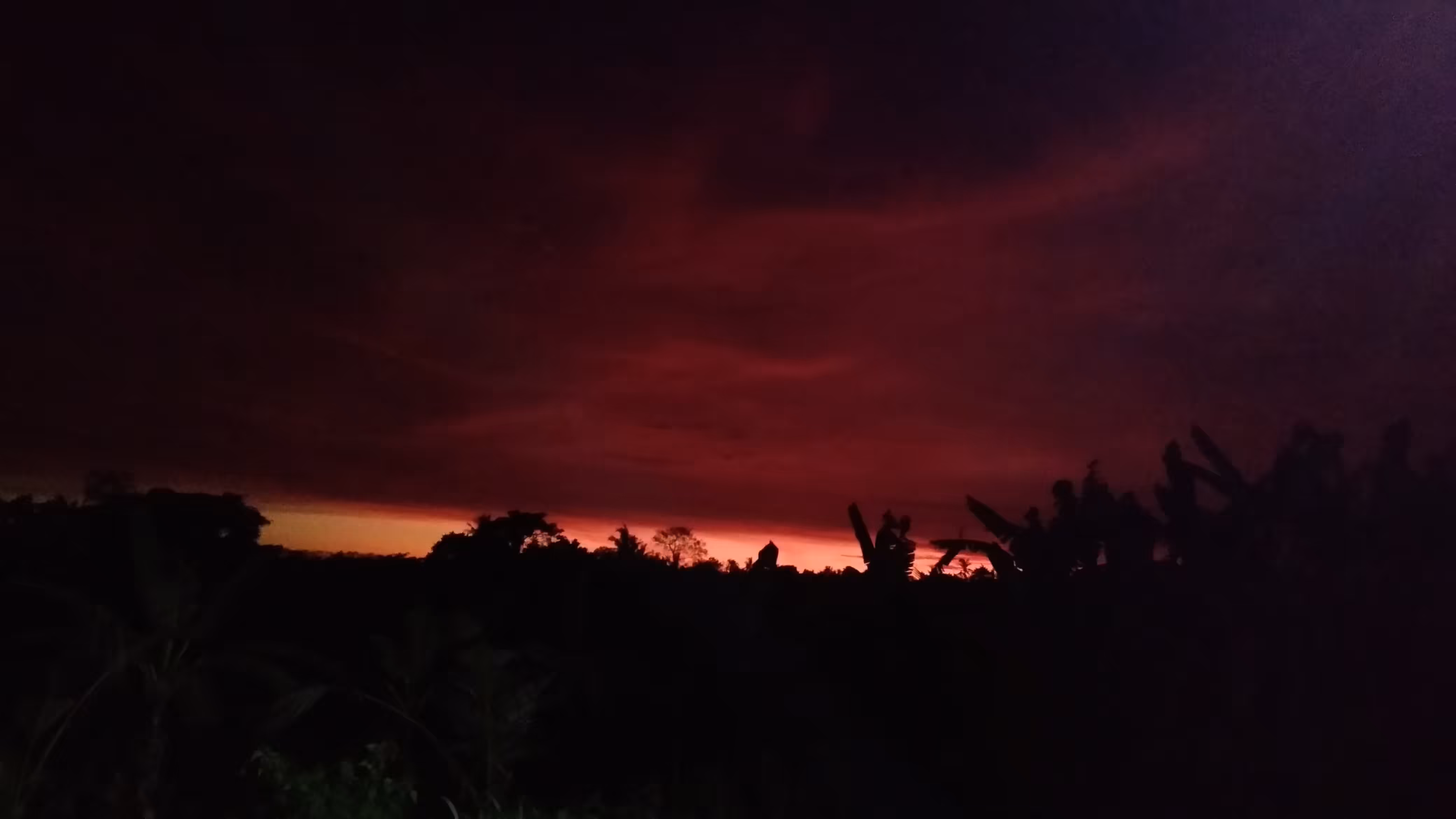 Bloody Sunset