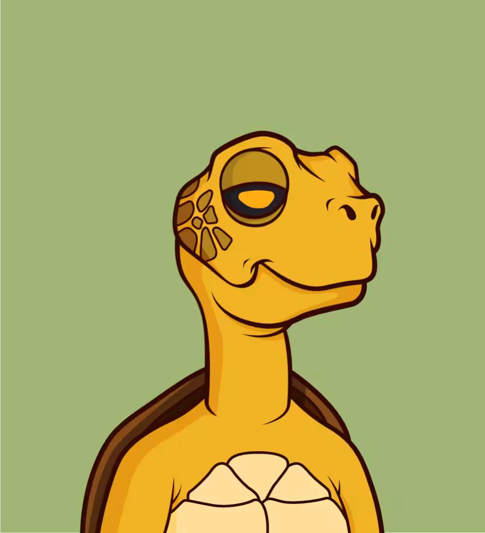 Tiny Turtle 144