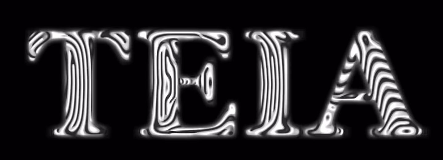 Teia Logo Study - 01