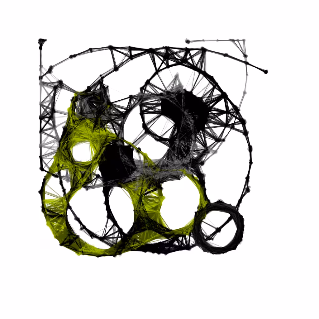 physarealm #12