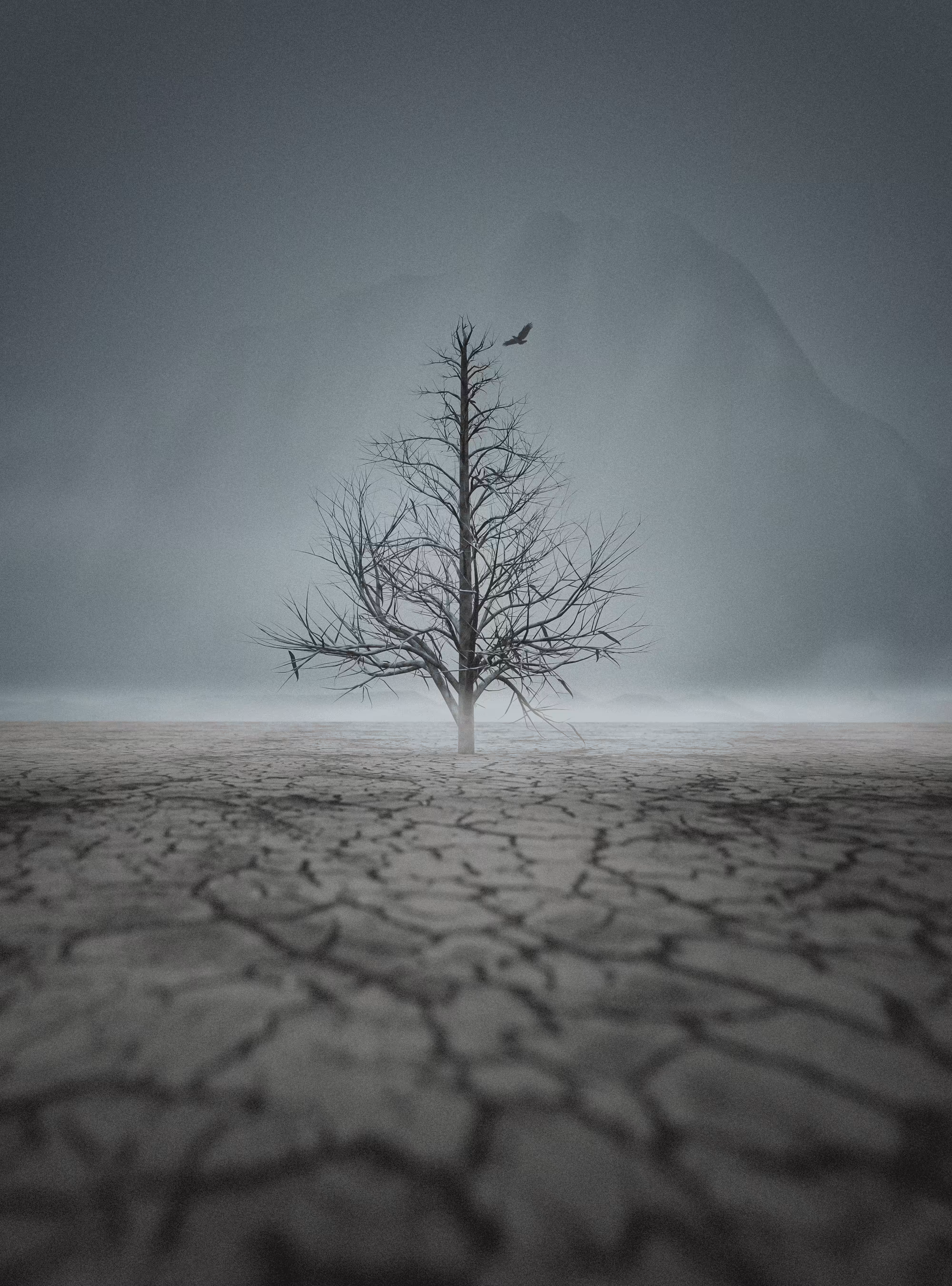 Tree #7