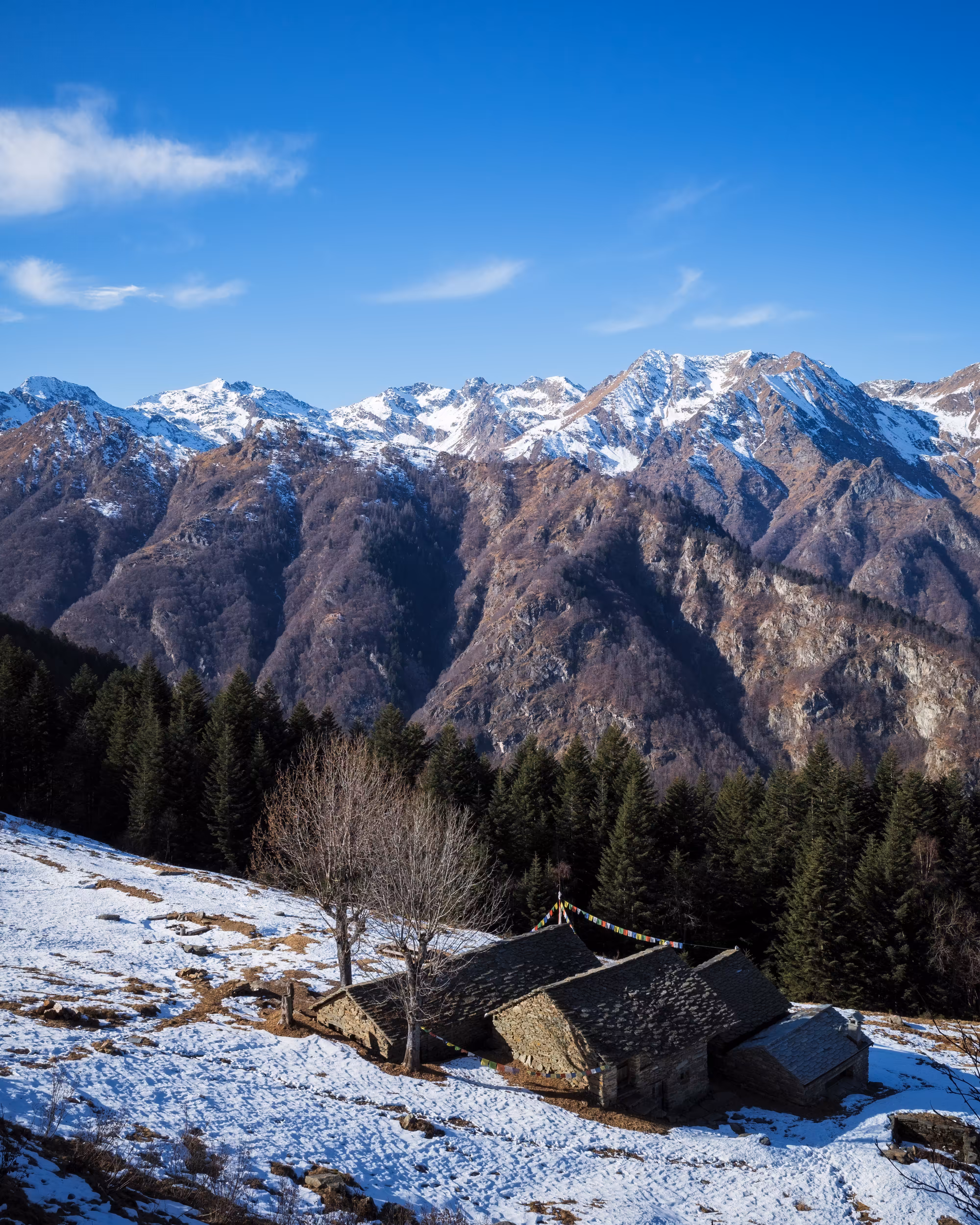 Alpe Selvaccia