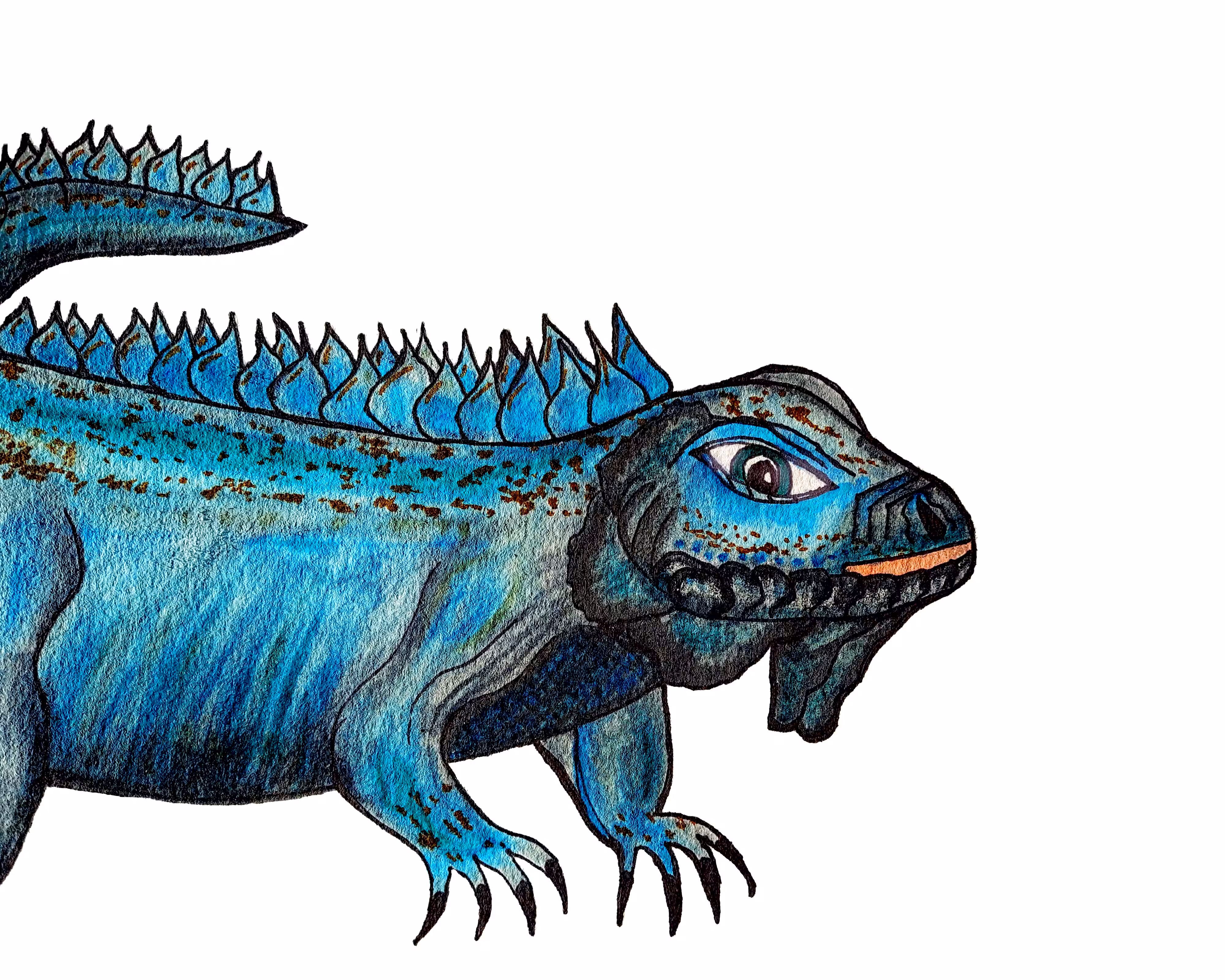 Blue Iguana 