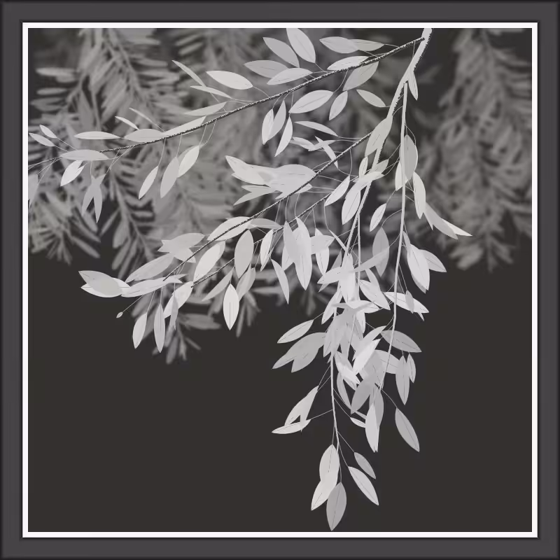 White Night Vol.1 #248