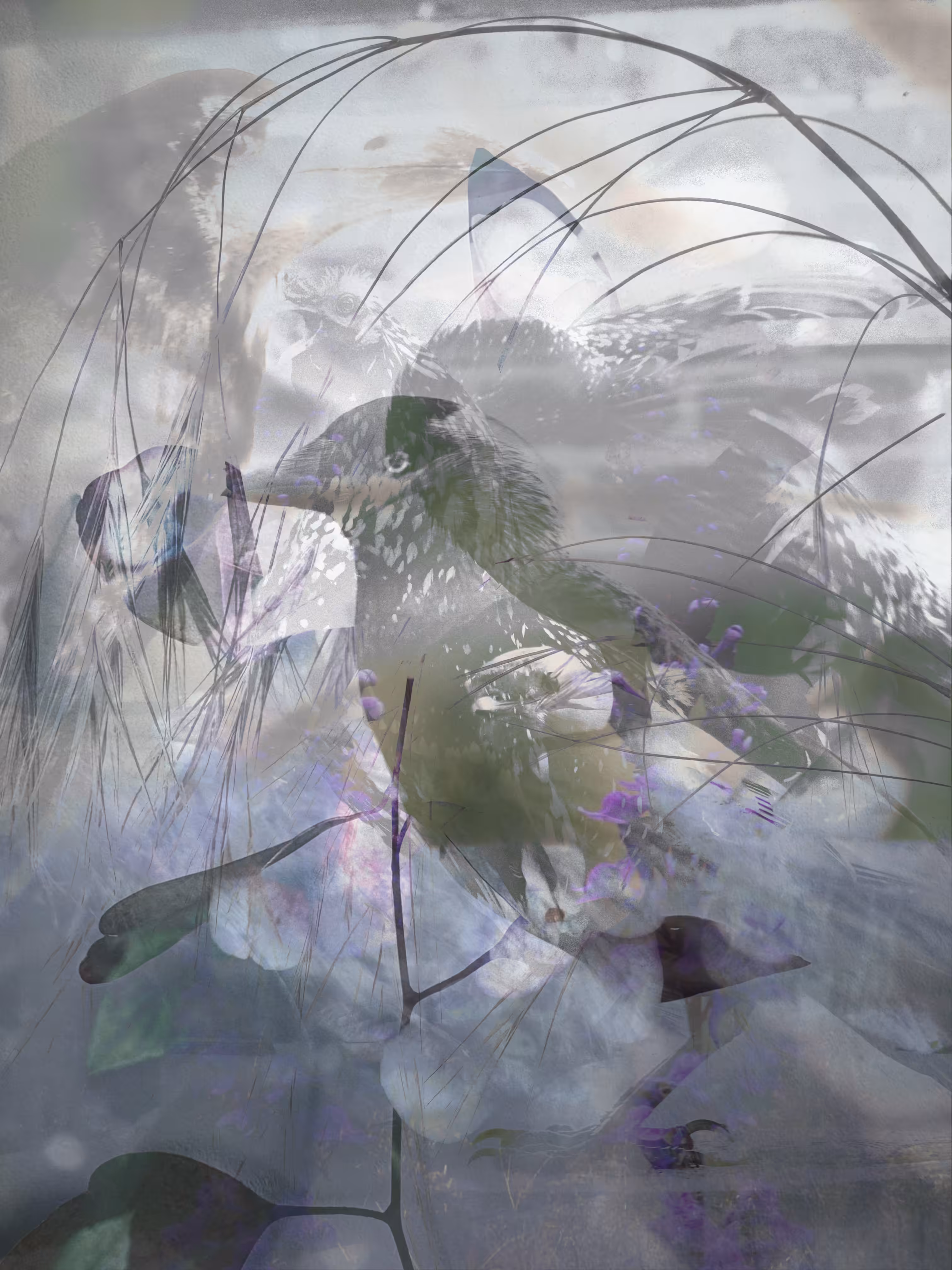 The Forgotten Meadow: Forgotten Menagerie 