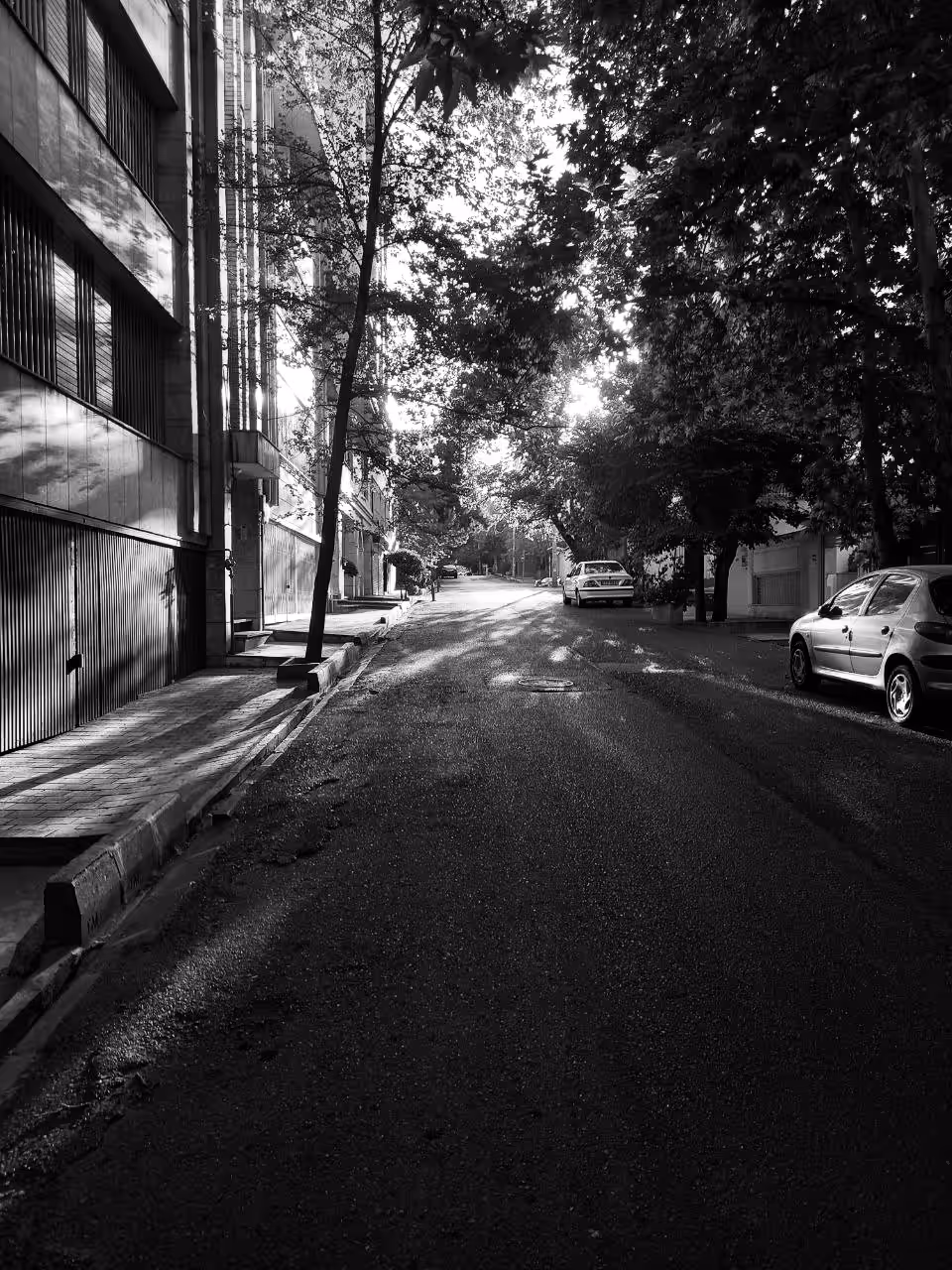 The Sixth Morning 