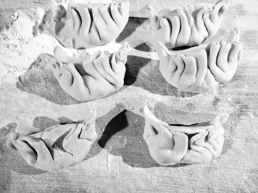 ''my gyoza''