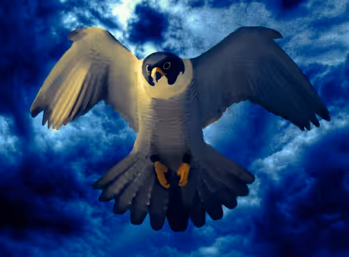 The Falcon