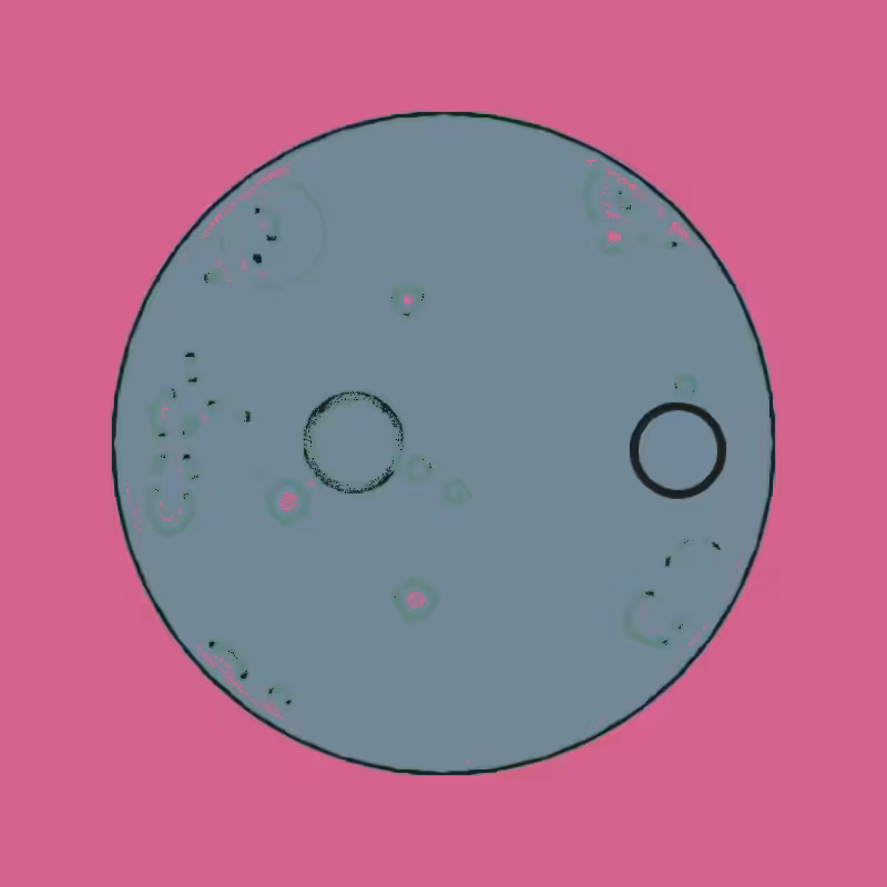 Cheap Petri Dish #67