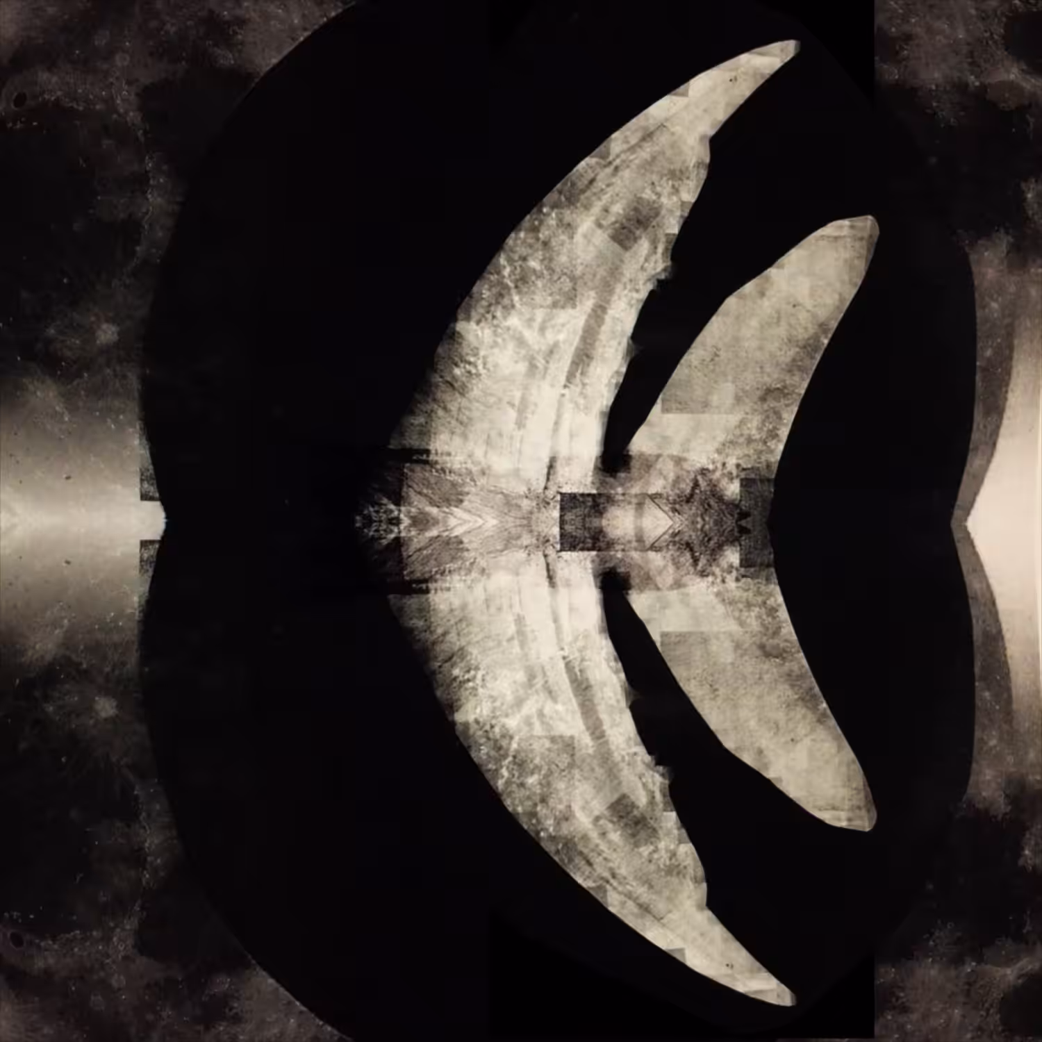Moon and Bone