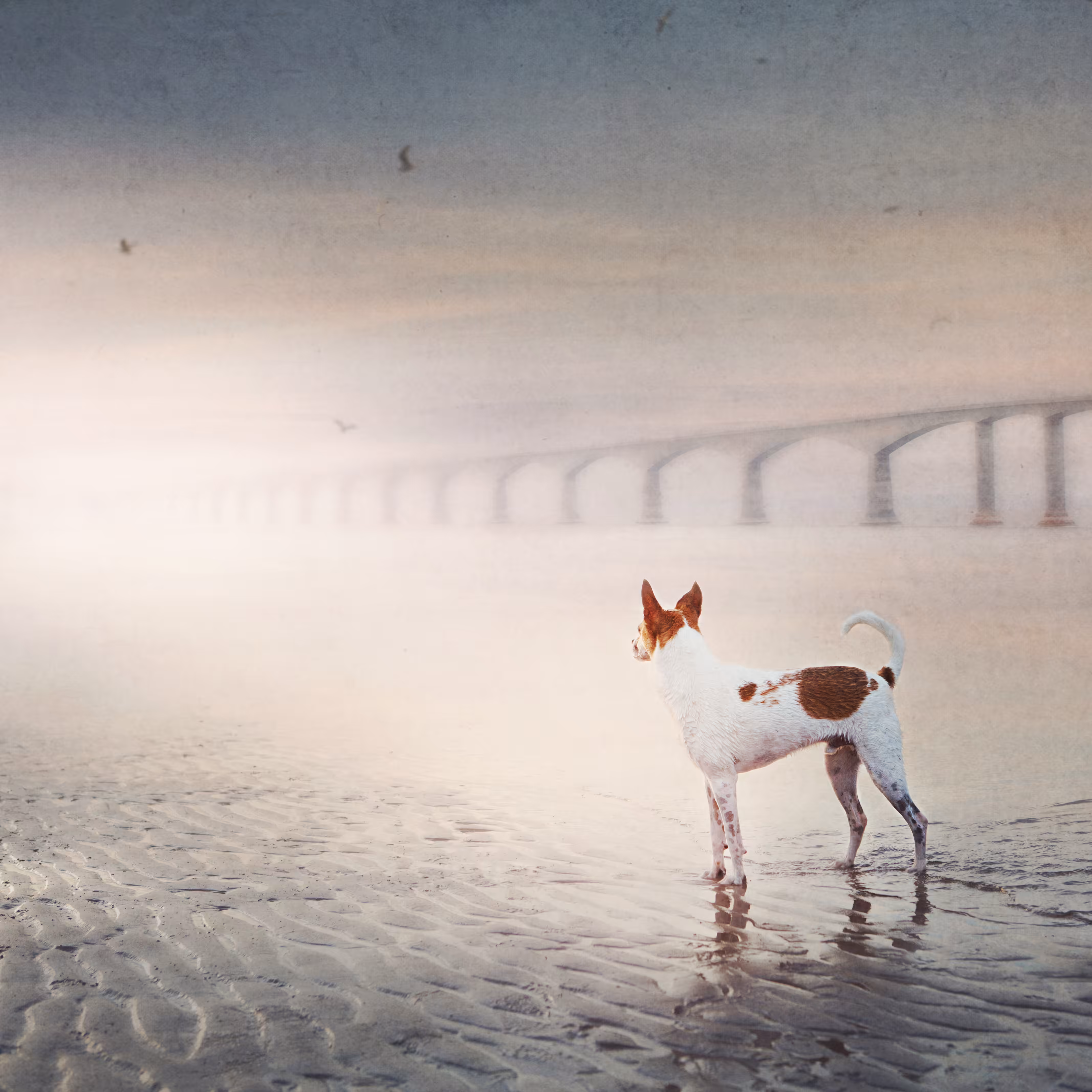 The Rainbow Bridge