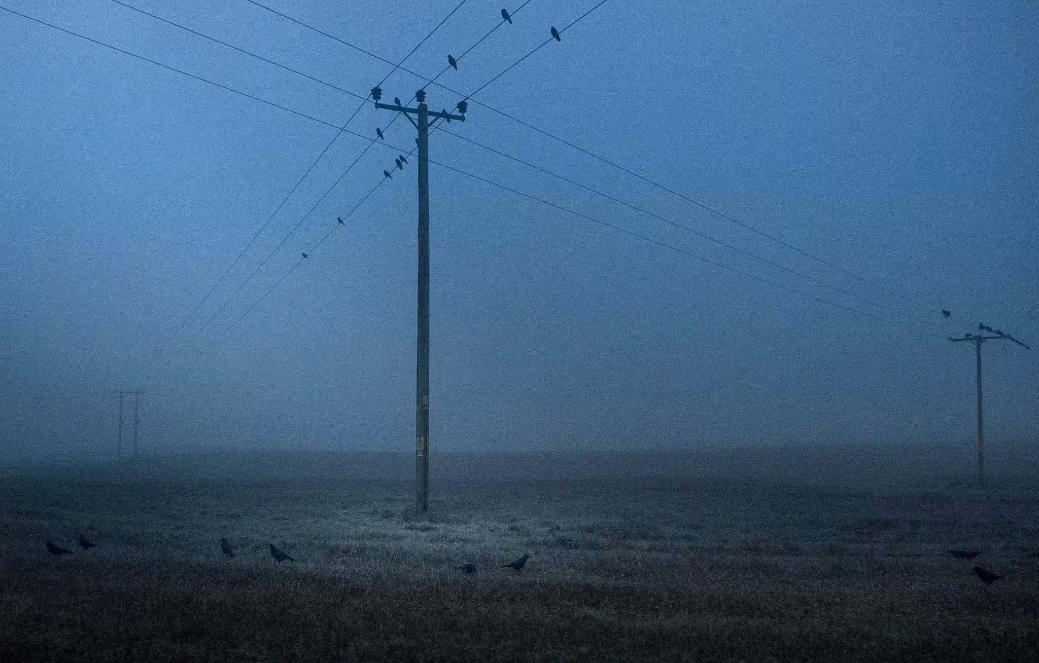 A Lonely Blue Monday