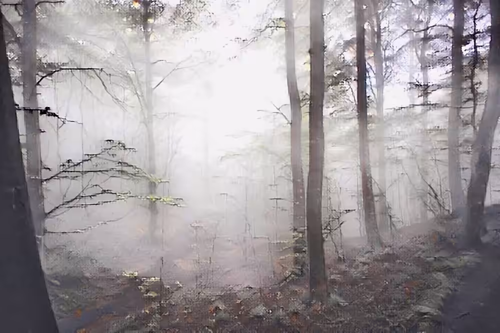 Misty morning