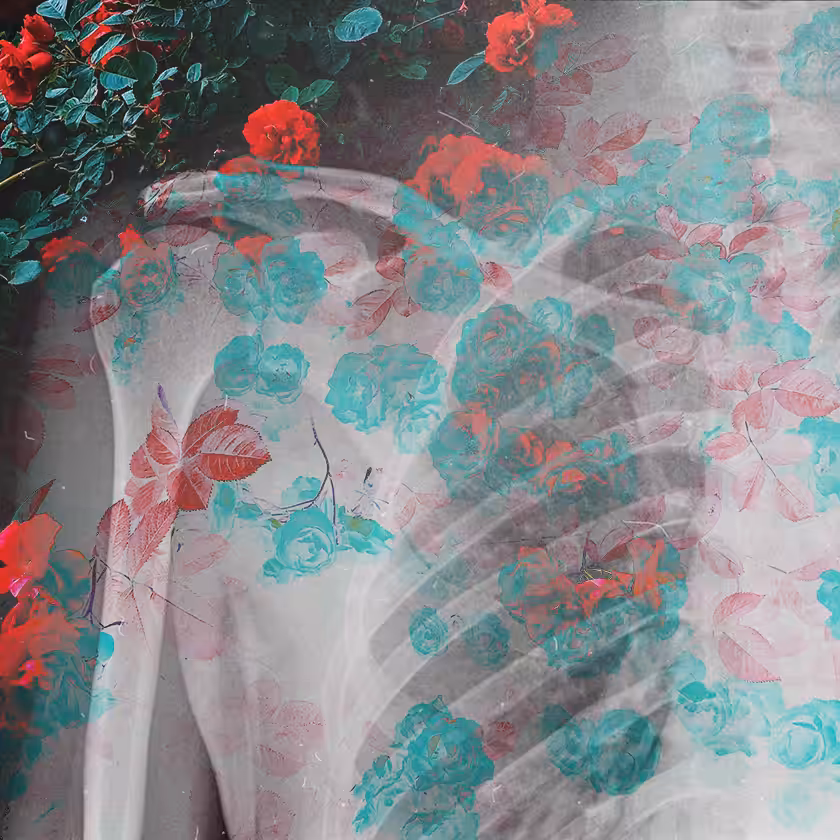 flowers and death #24