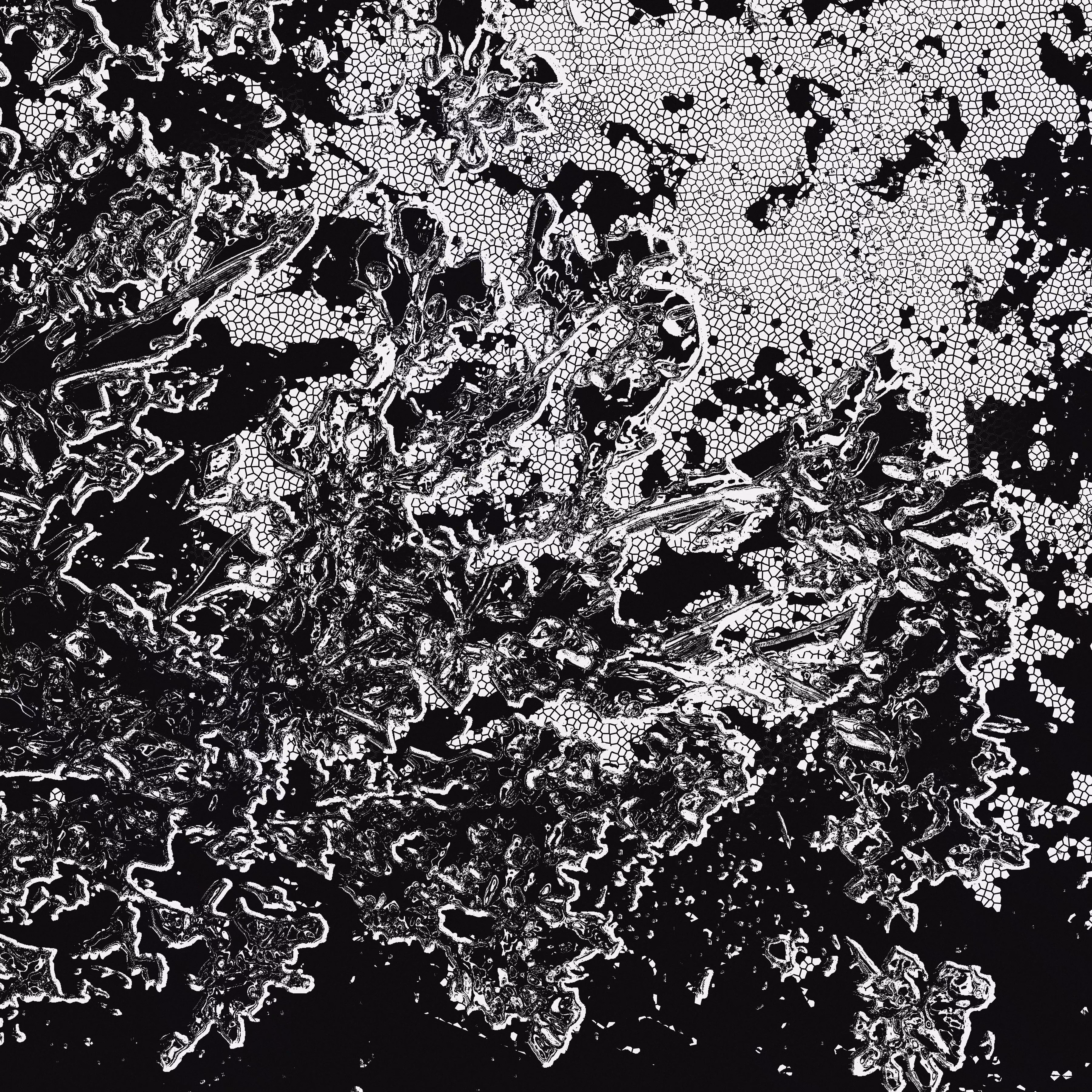 shadow #49