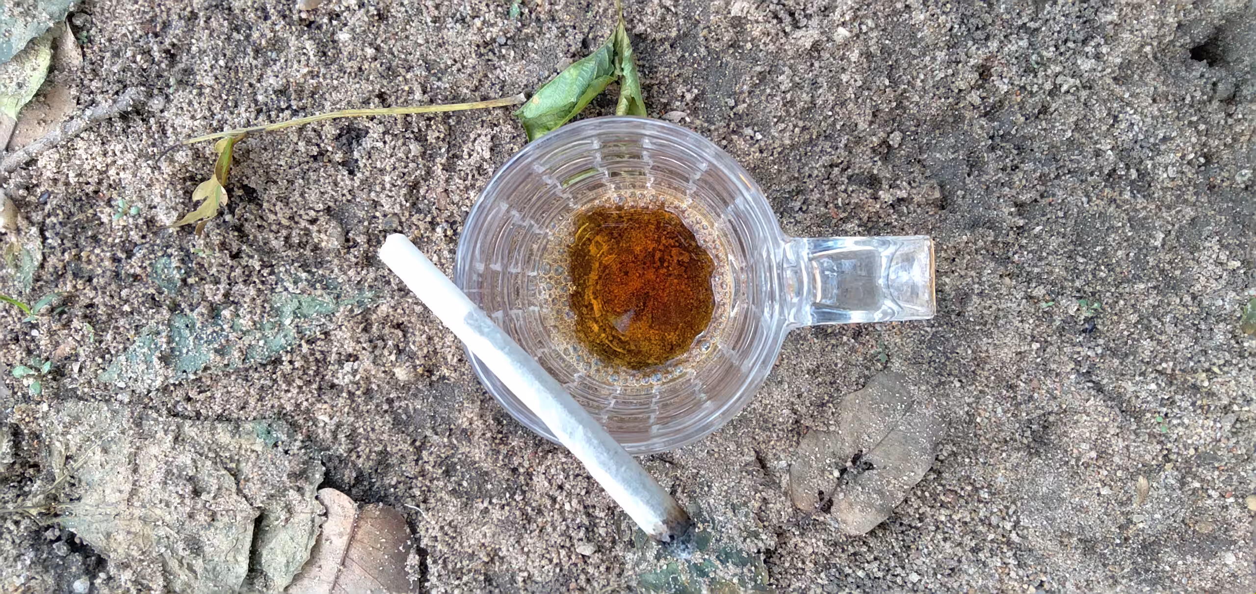 maconha e café