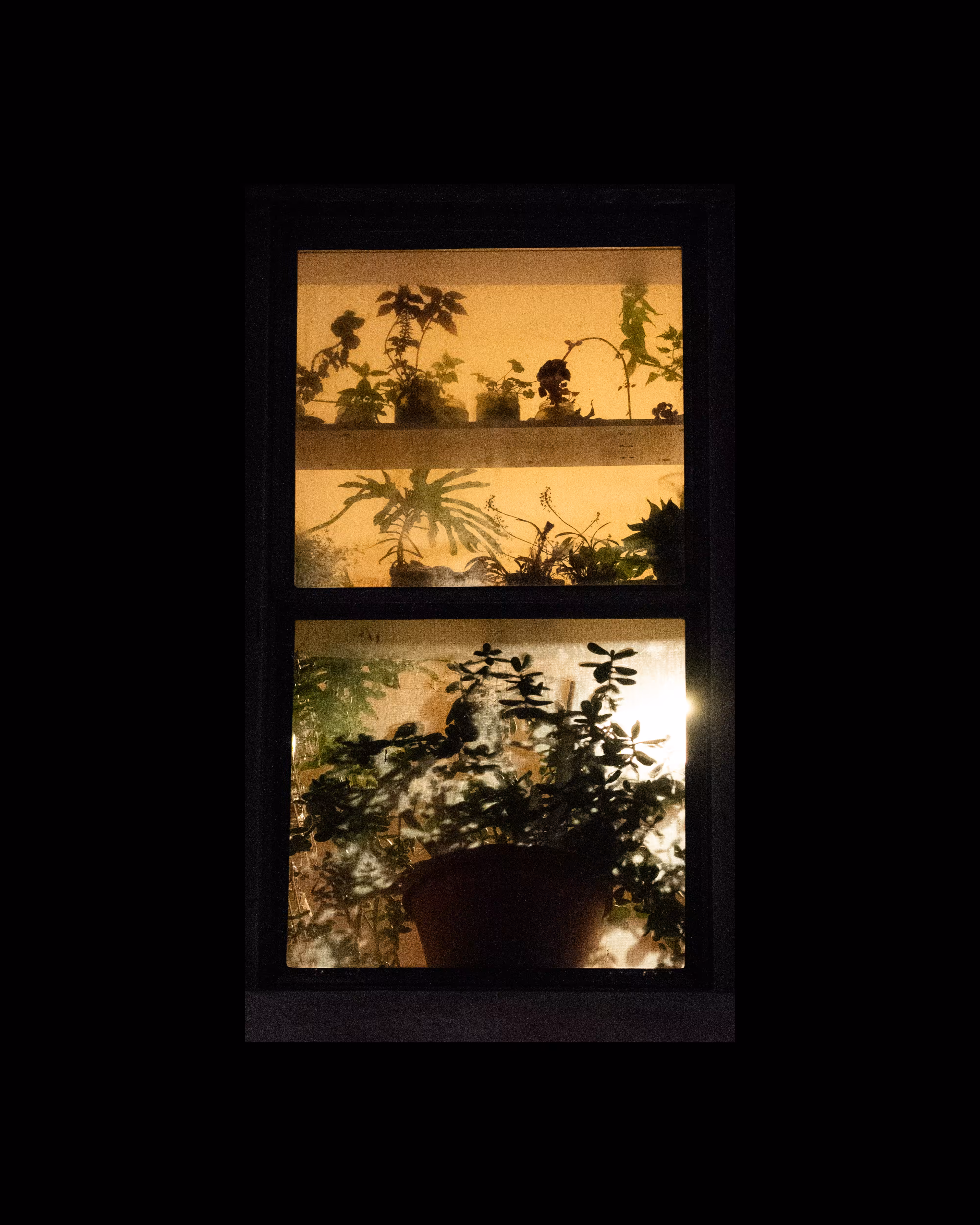 WINDOW 249