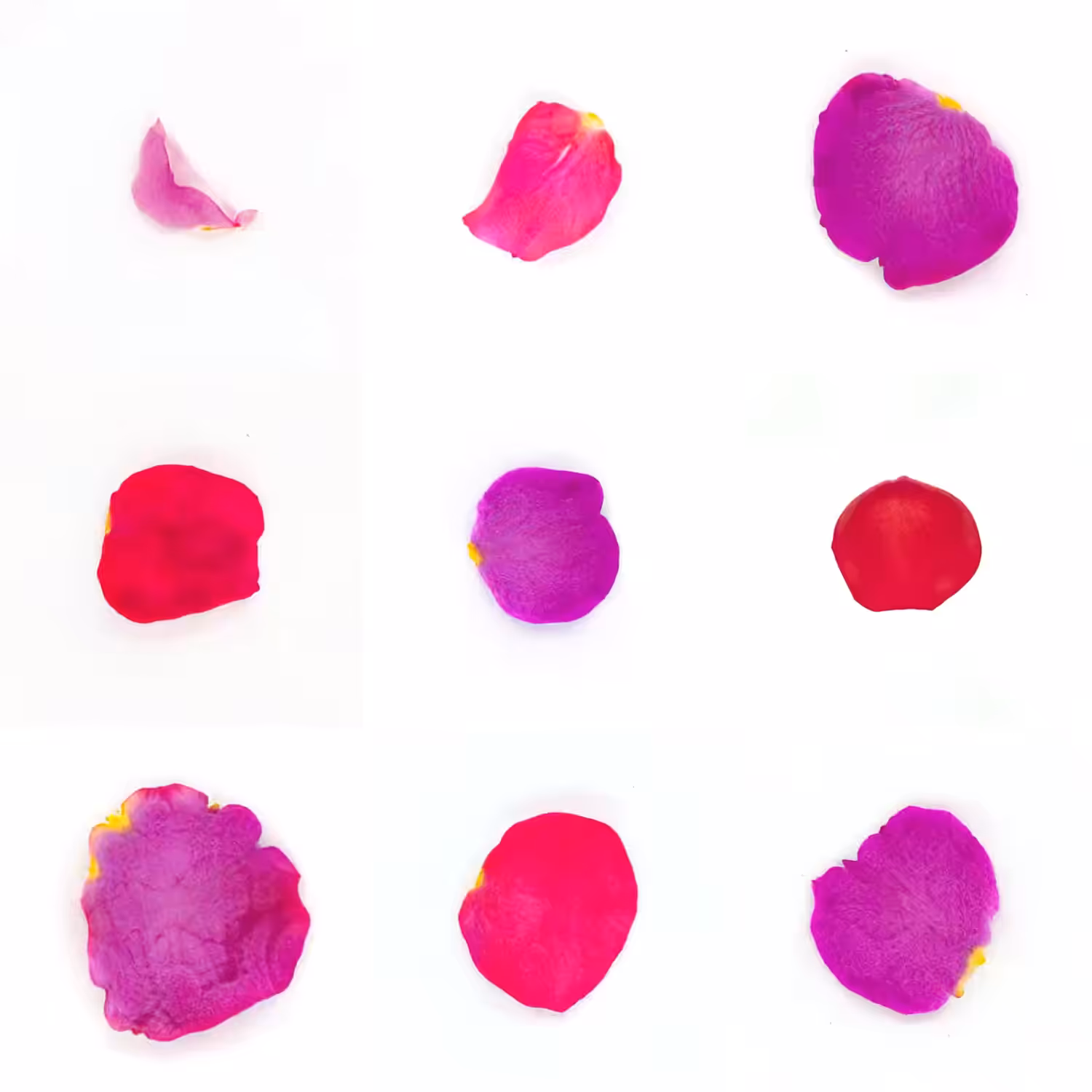 Infinite Petals 3x3#3151