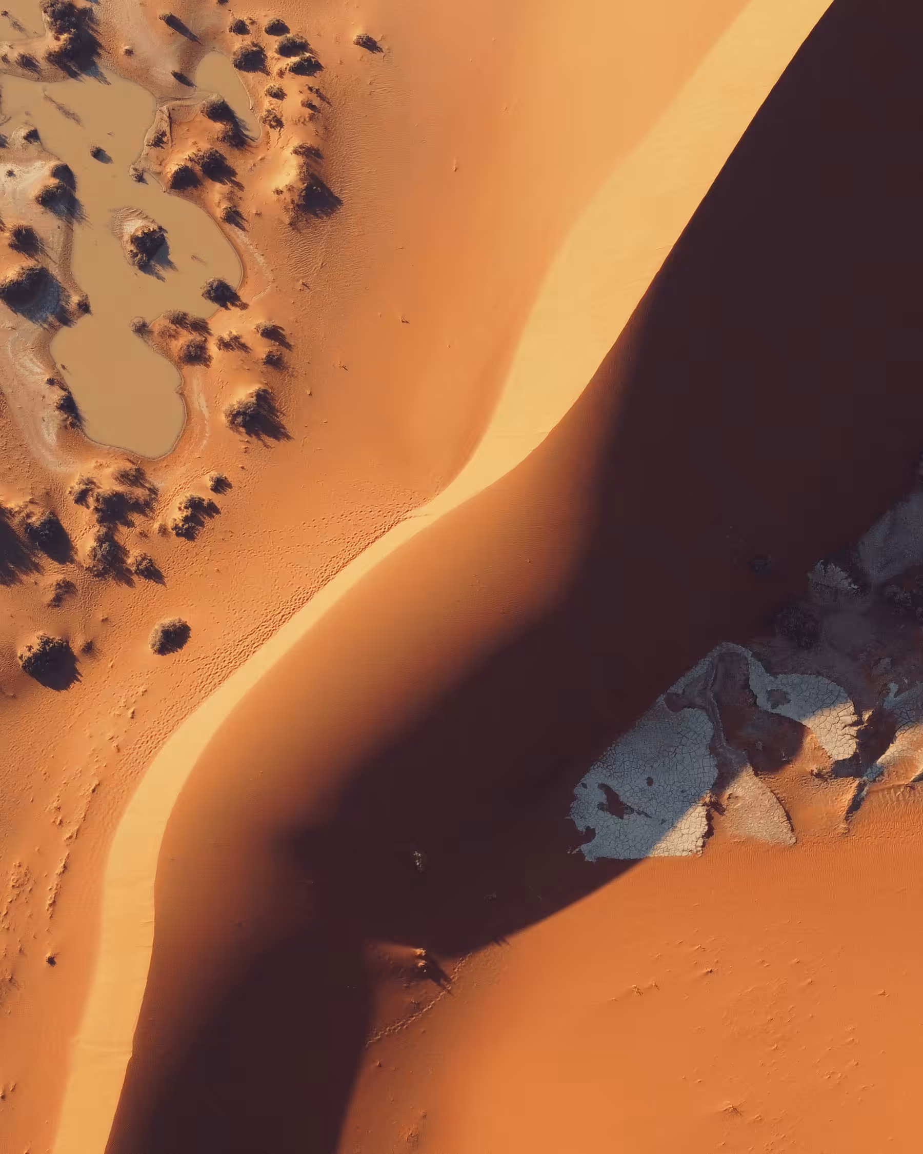 Dunes Painting #002