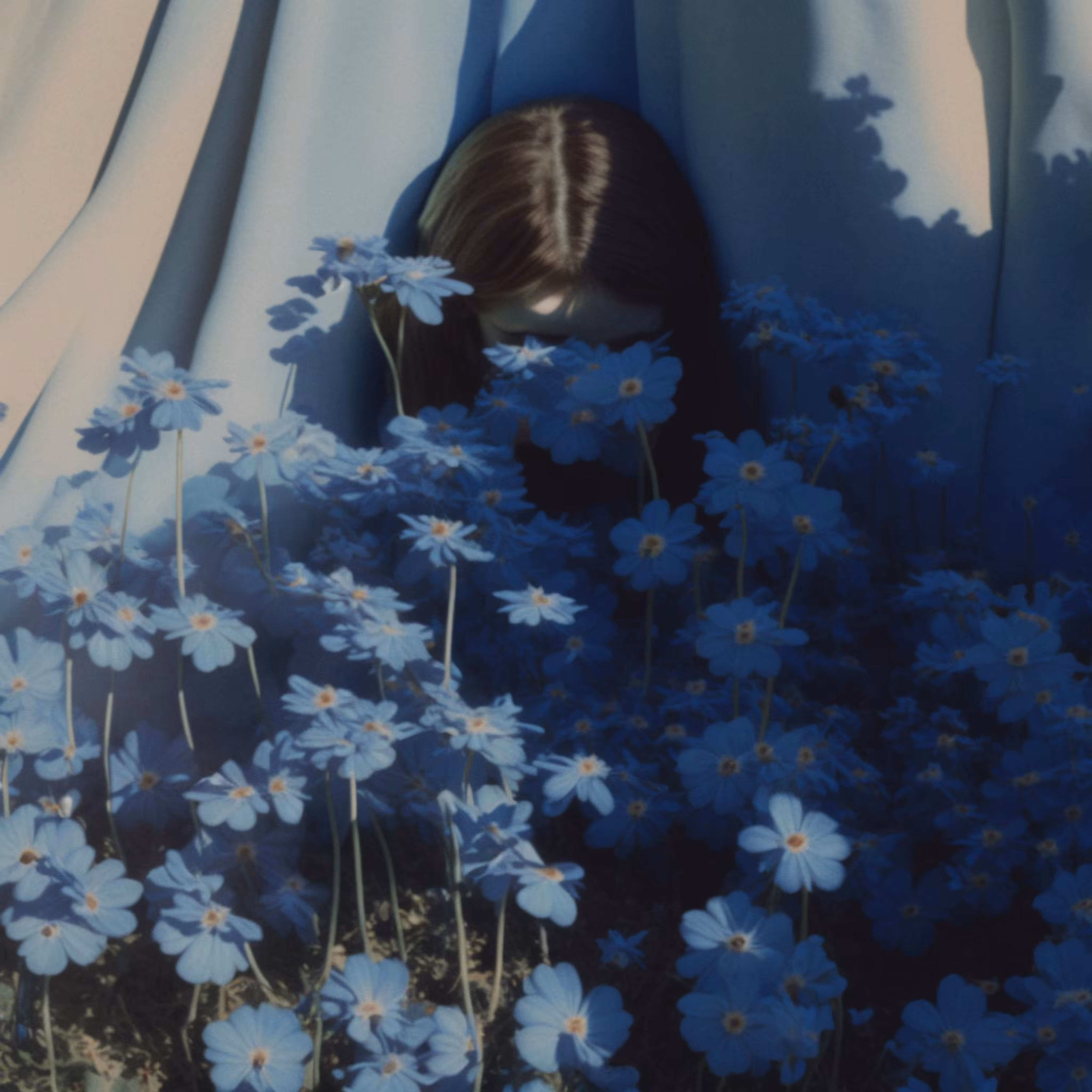 The Dreamer