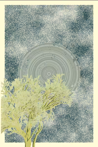 illusion #33