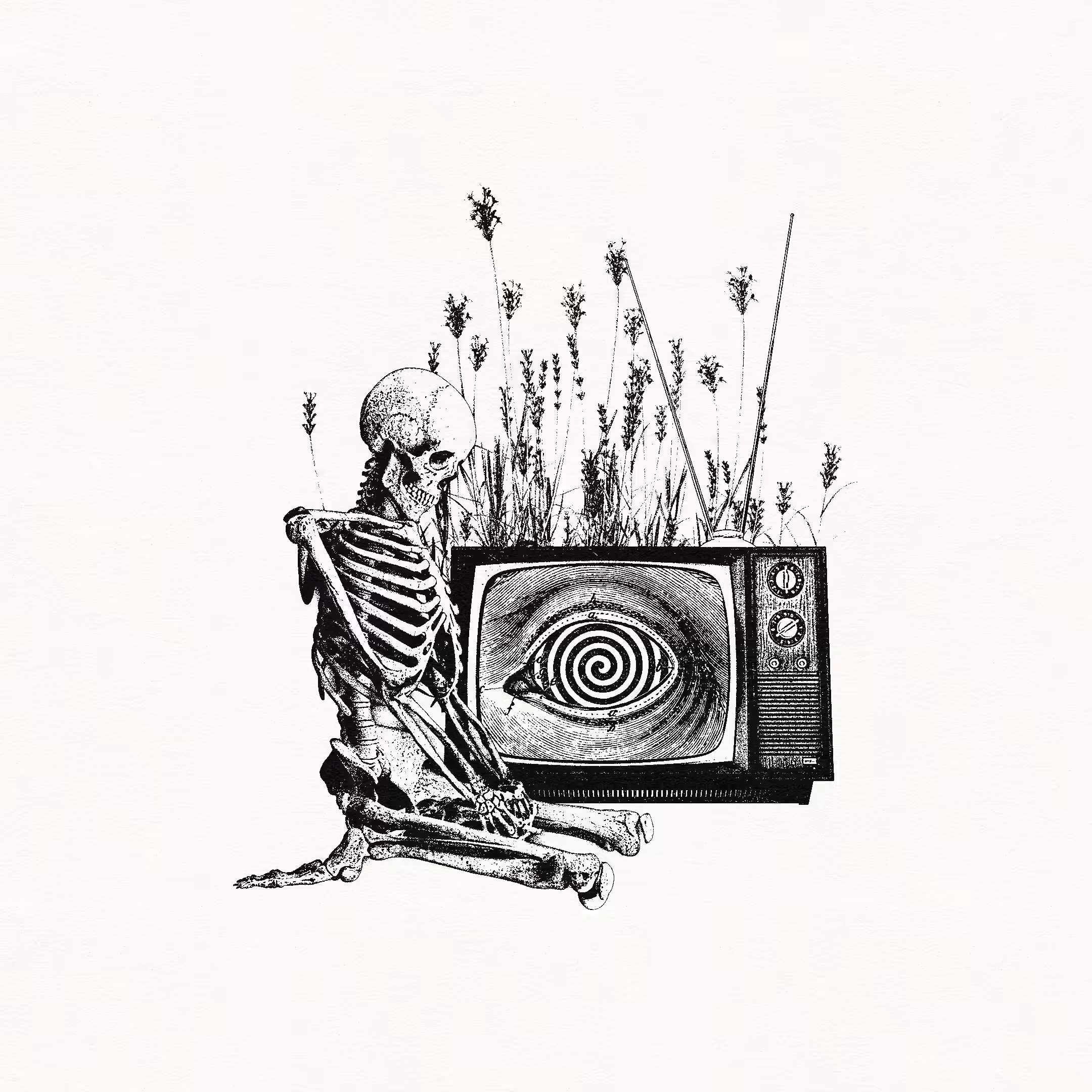 tv scorpion