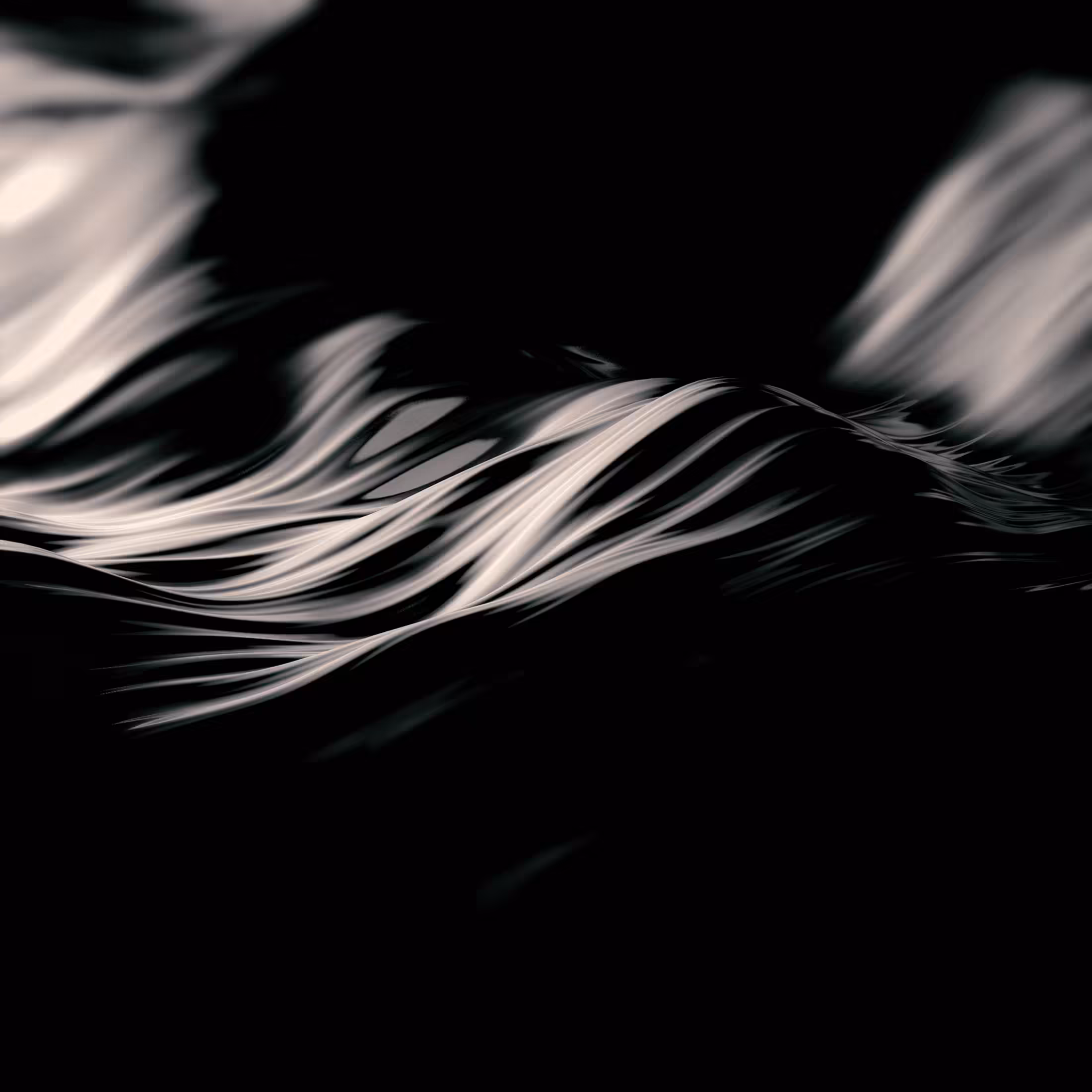 Light in the Dark