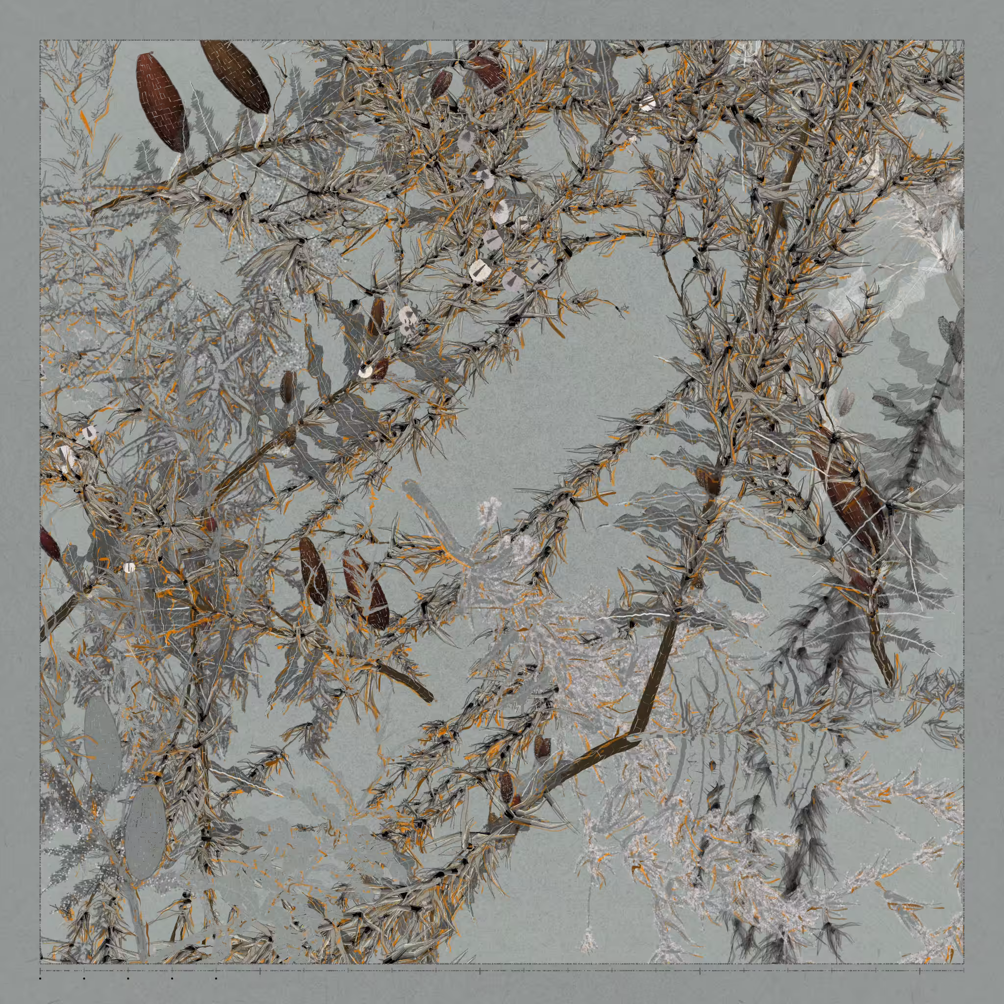 Polypaths | 植徑集 #127