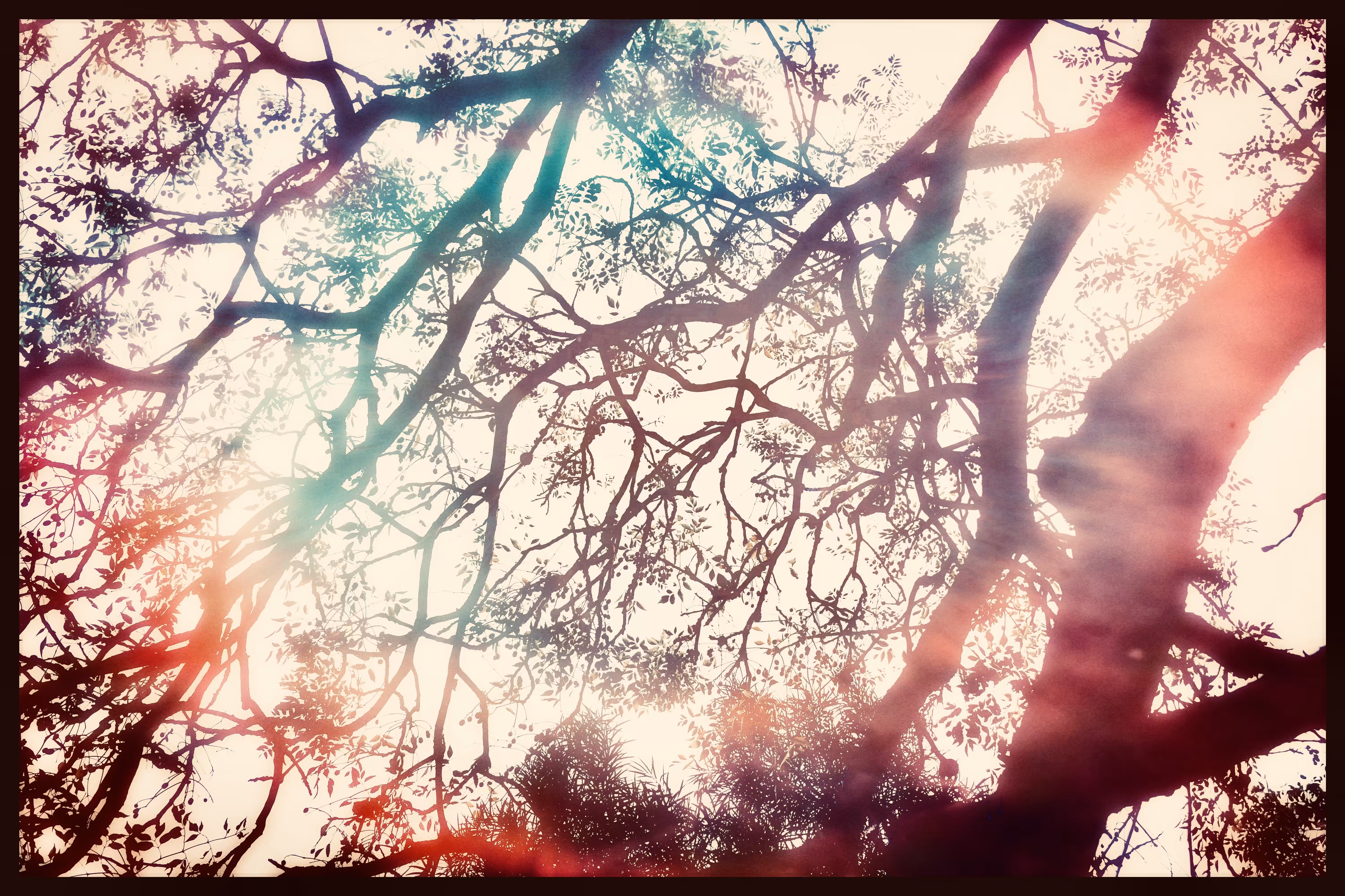 Beadtree