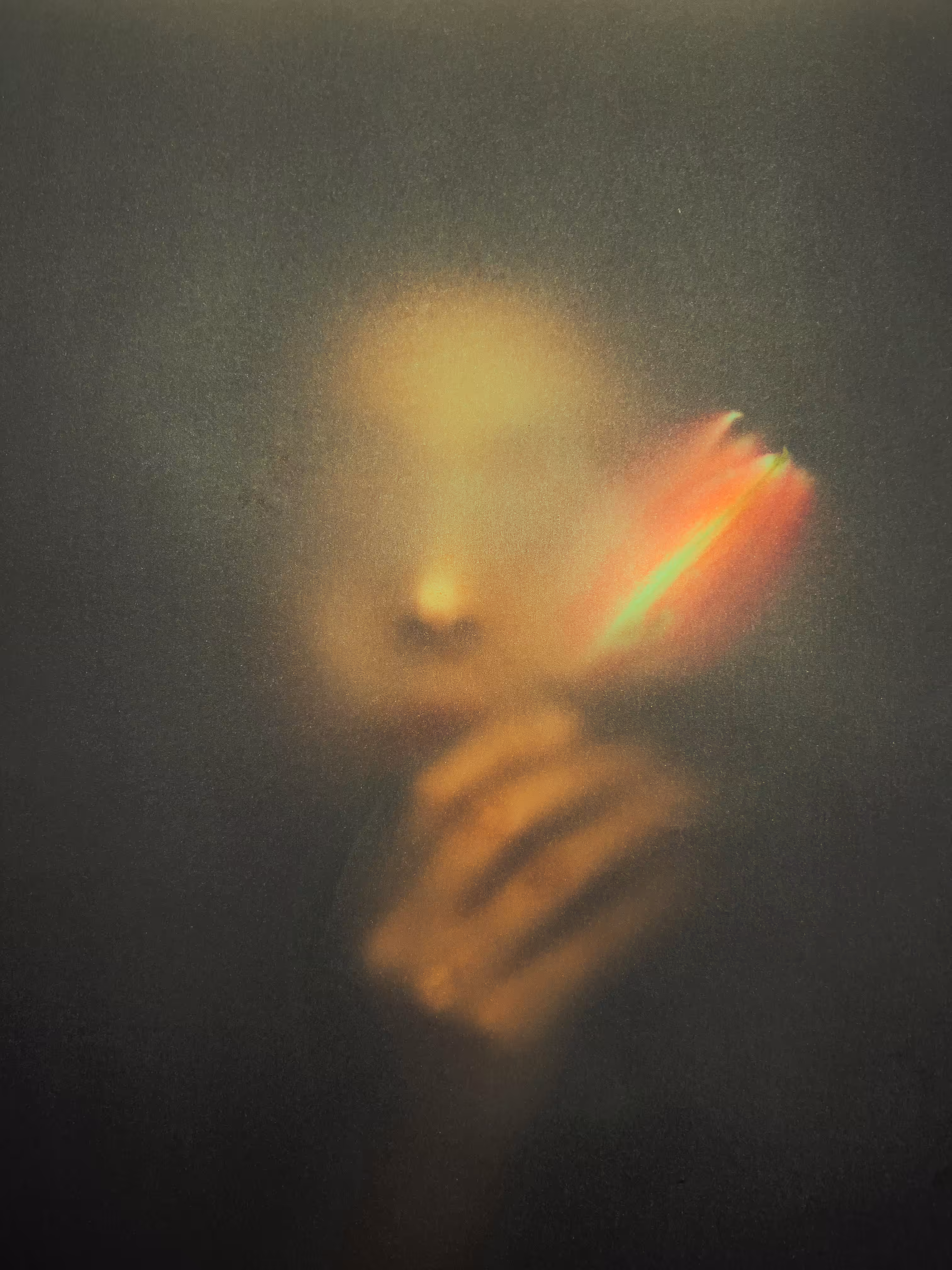 Fading Memories
