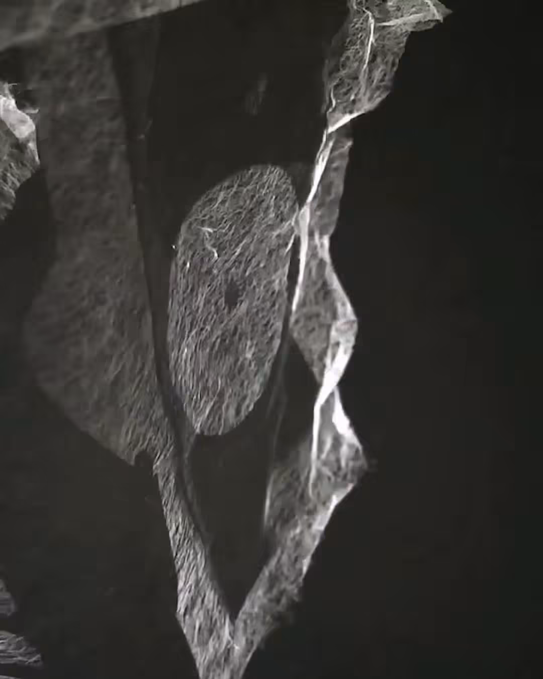 Monochromic #01