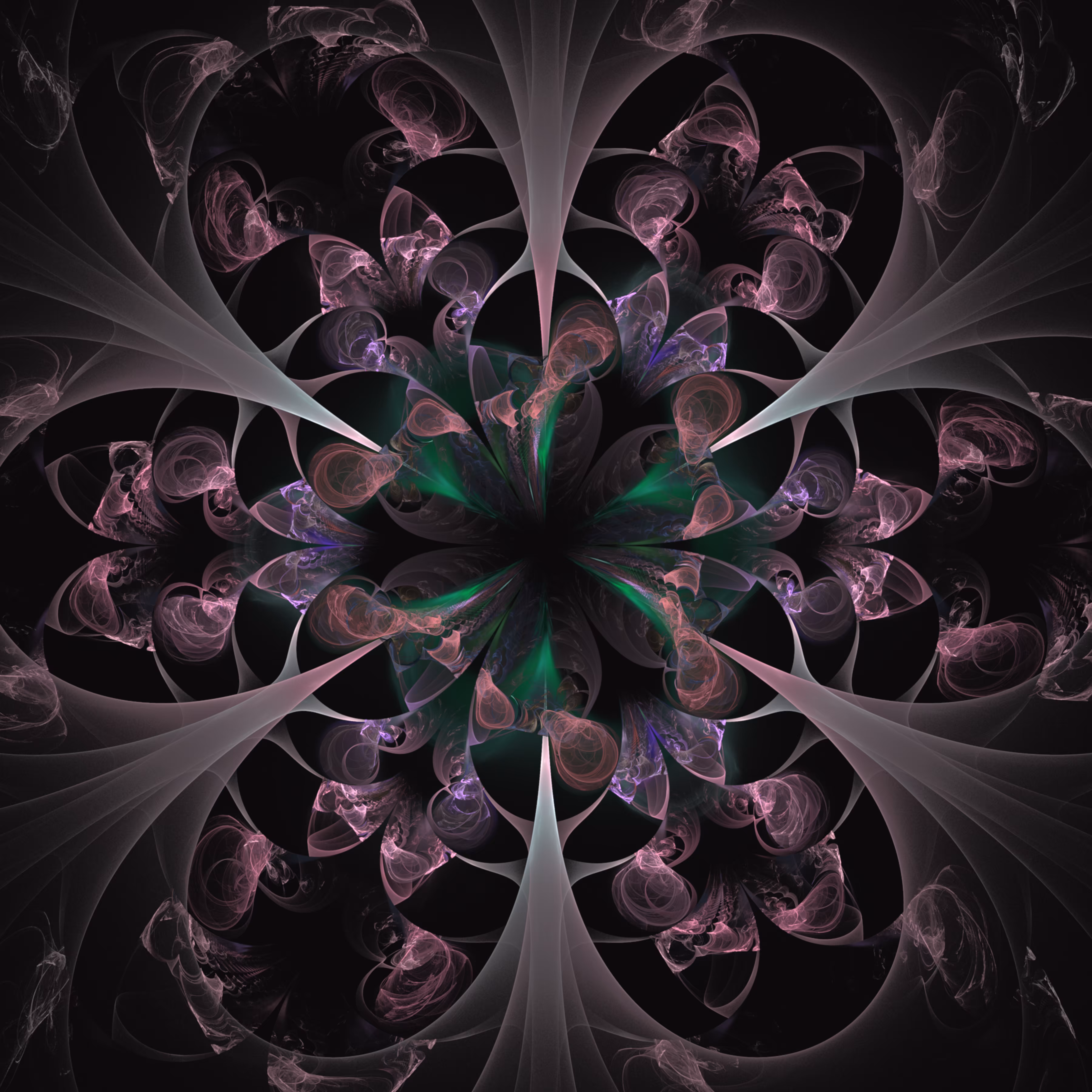 Sacred Lotus Flower 