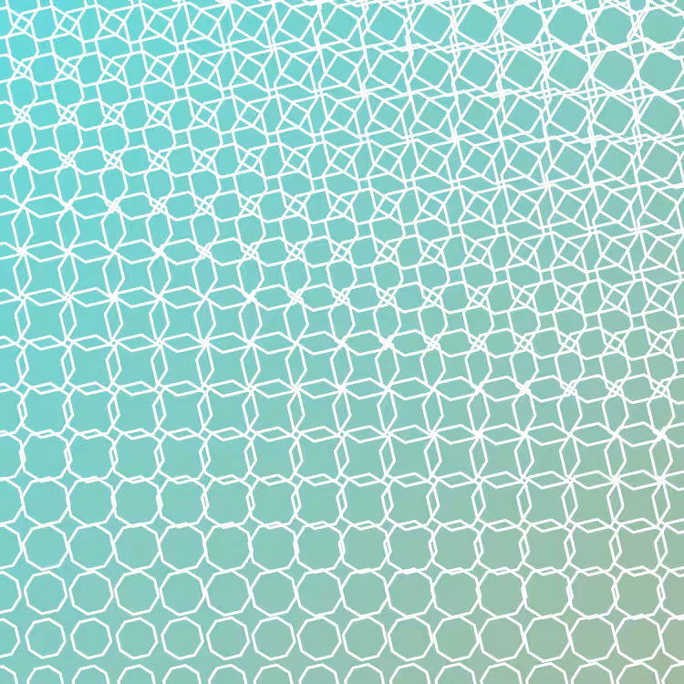 bilinearInterpolationTwist #63