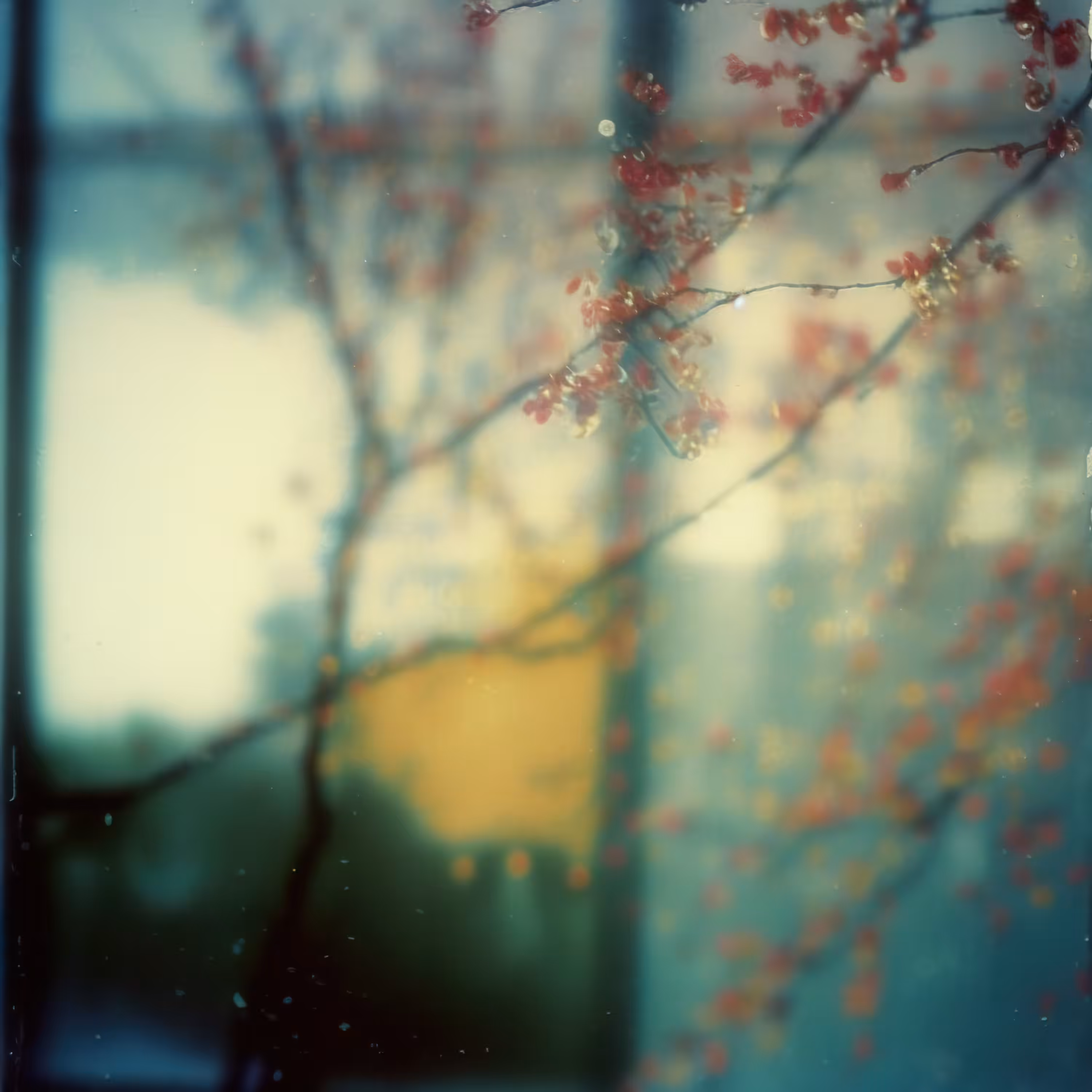 Morning Light Pearls